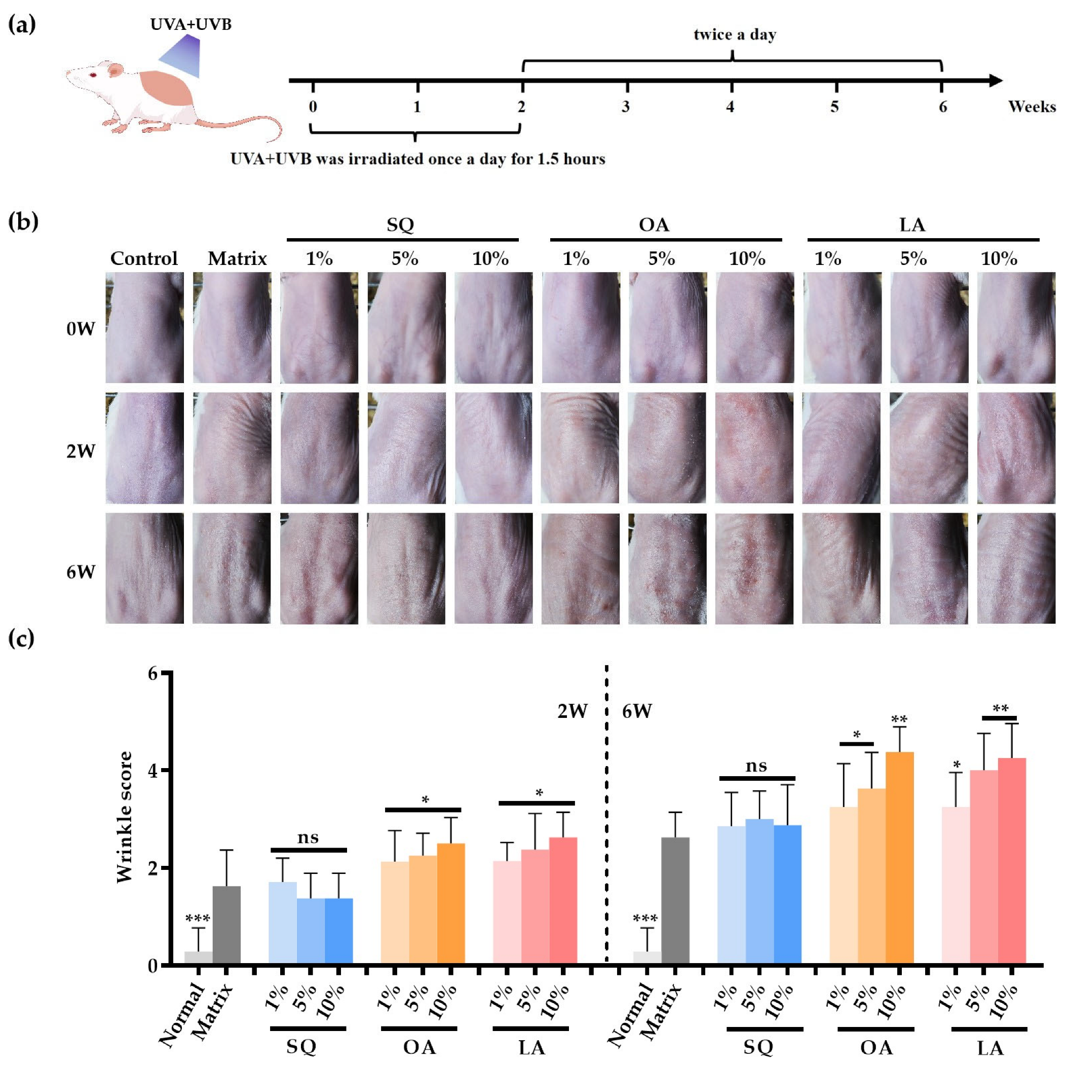 Cosmetics 12 00130 g001