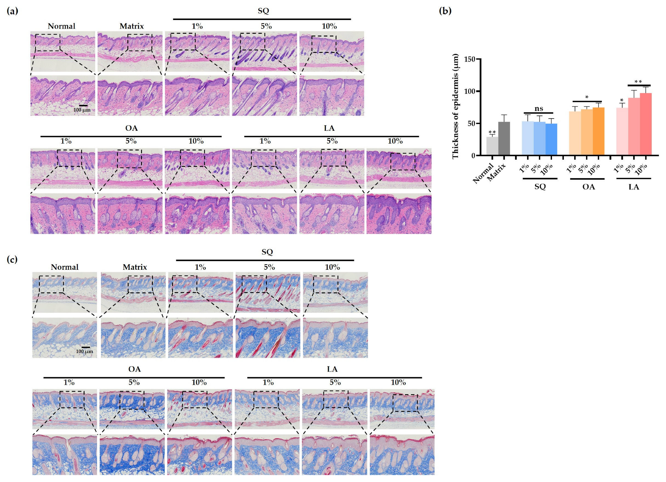 Cosmetics 12 00130 g002