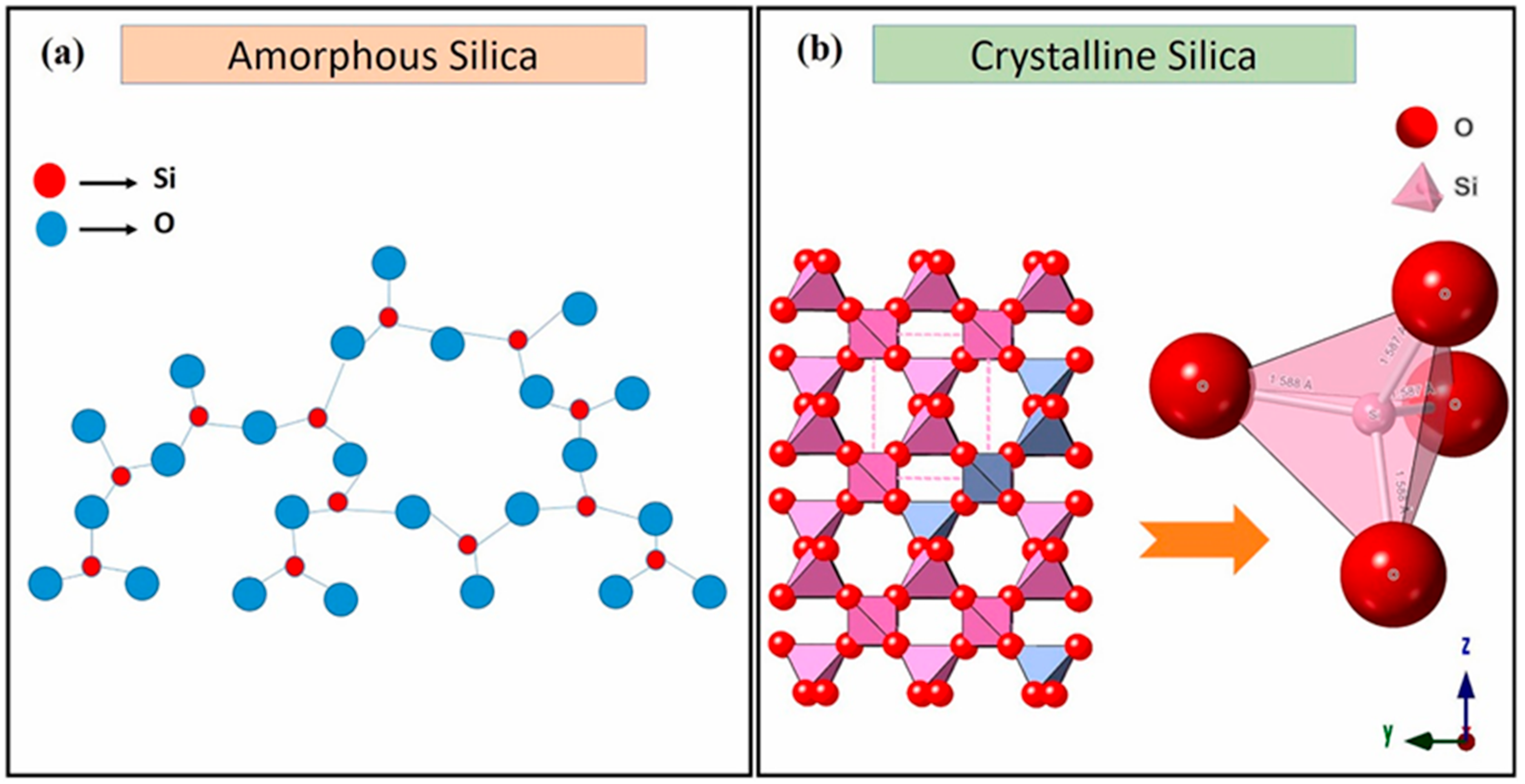 Cosmetics 12 00134 g001