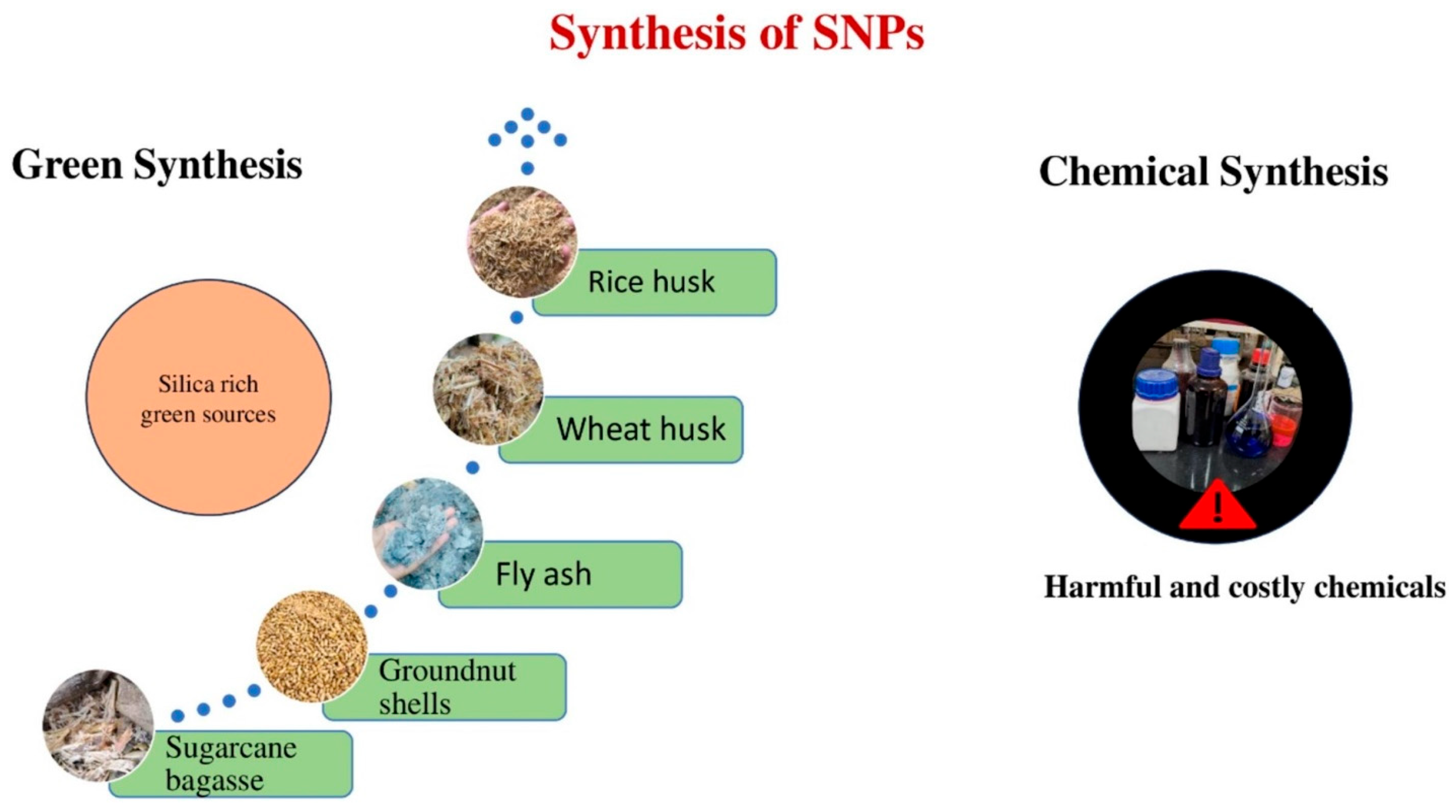 Cosmetics 12 00134 g003