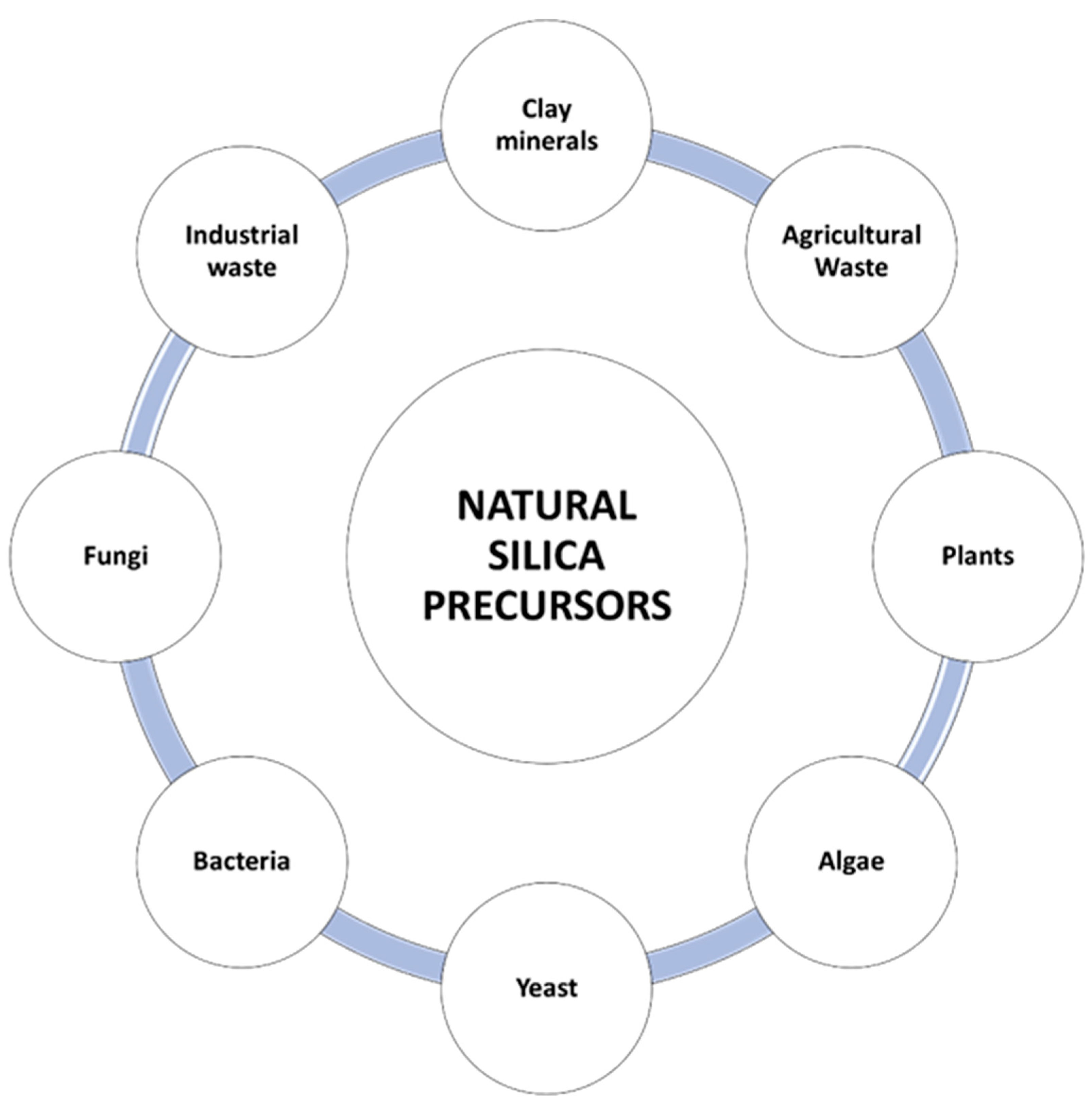 Cosmetics 12 00134 g004