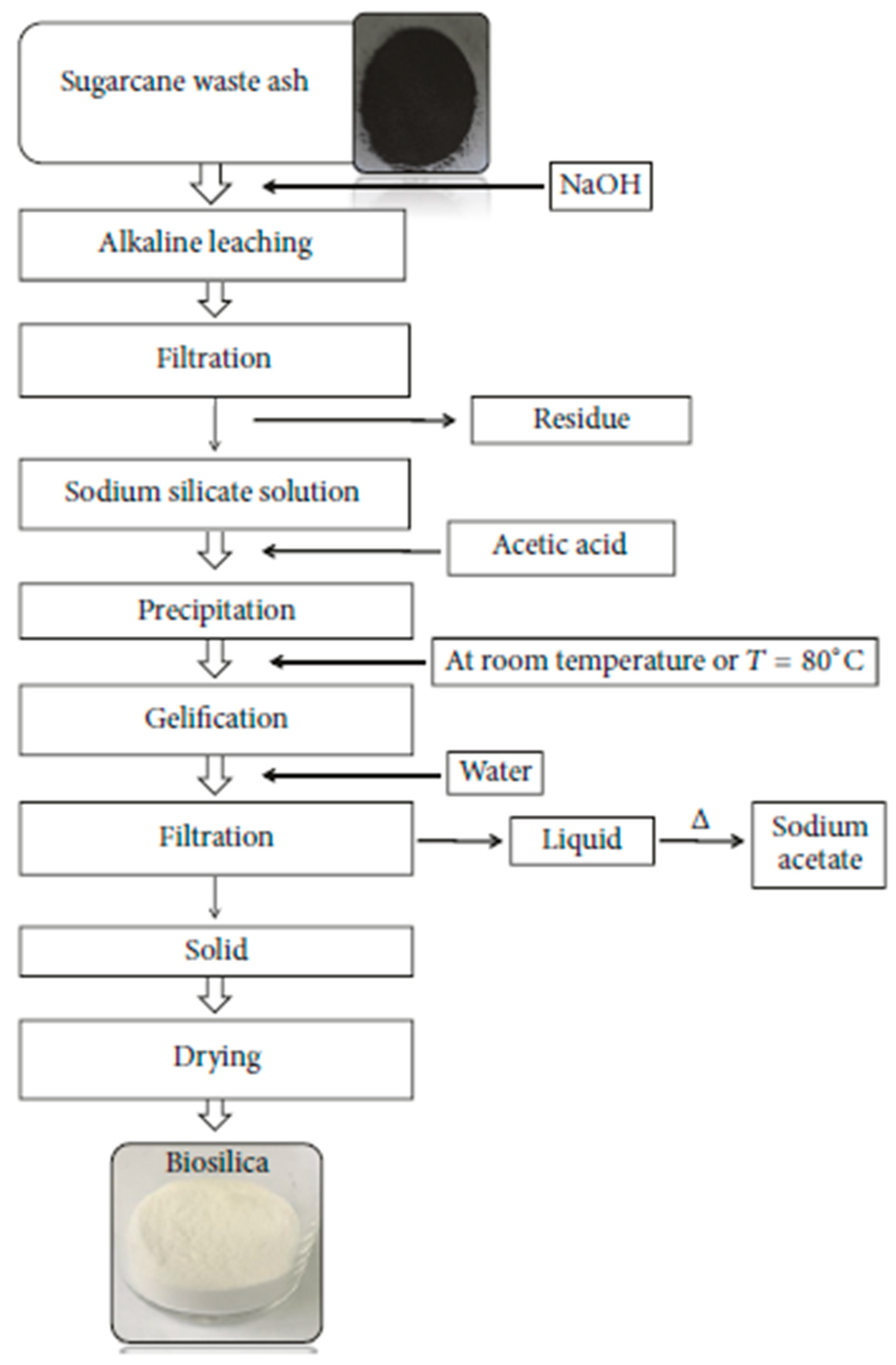 Cosmetics 12 00134 g005