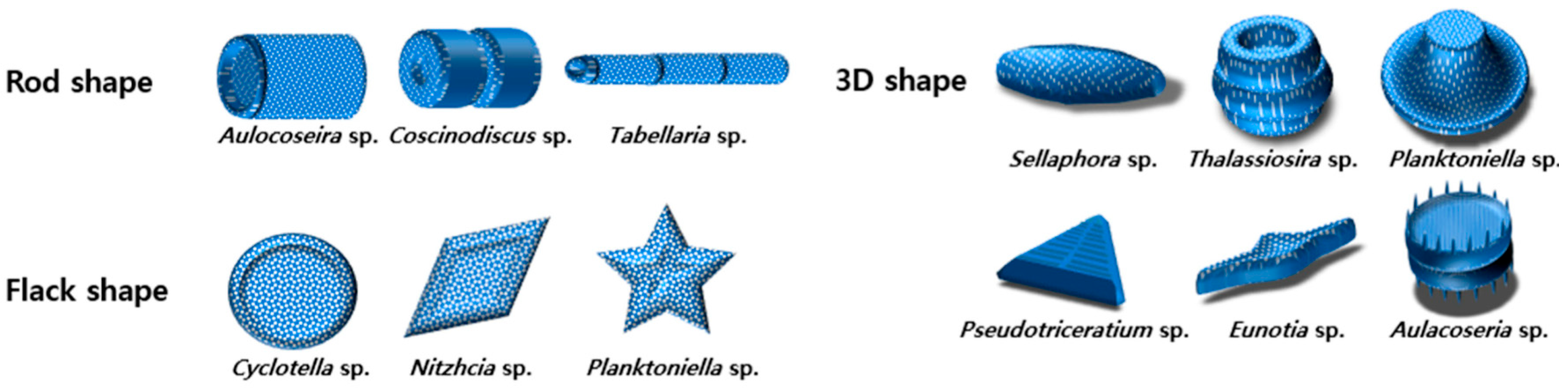 Cosmetics 12 00134 g006