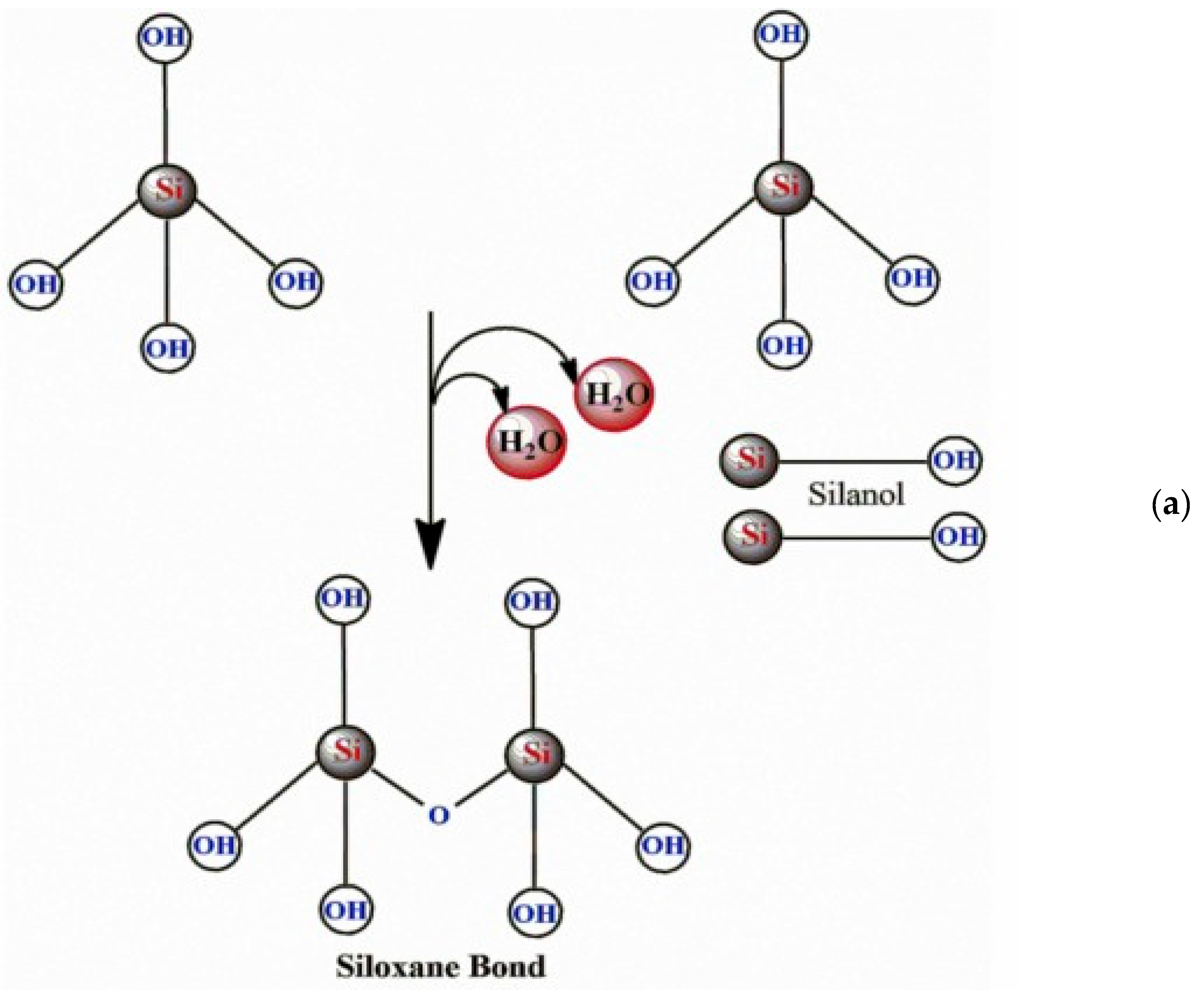 Cosmetics 12 00134 g007a