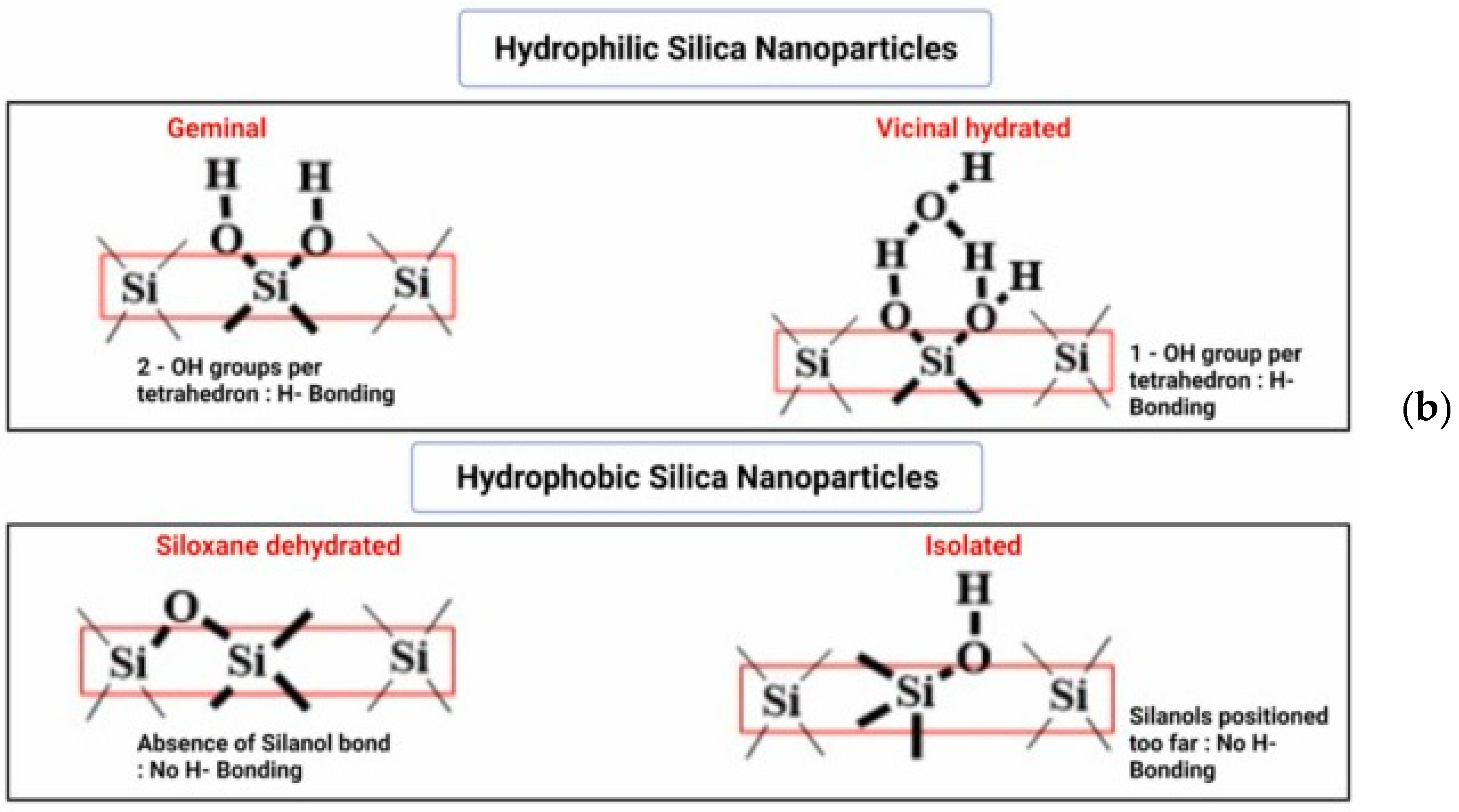Cosmetics 12 00134 g007b