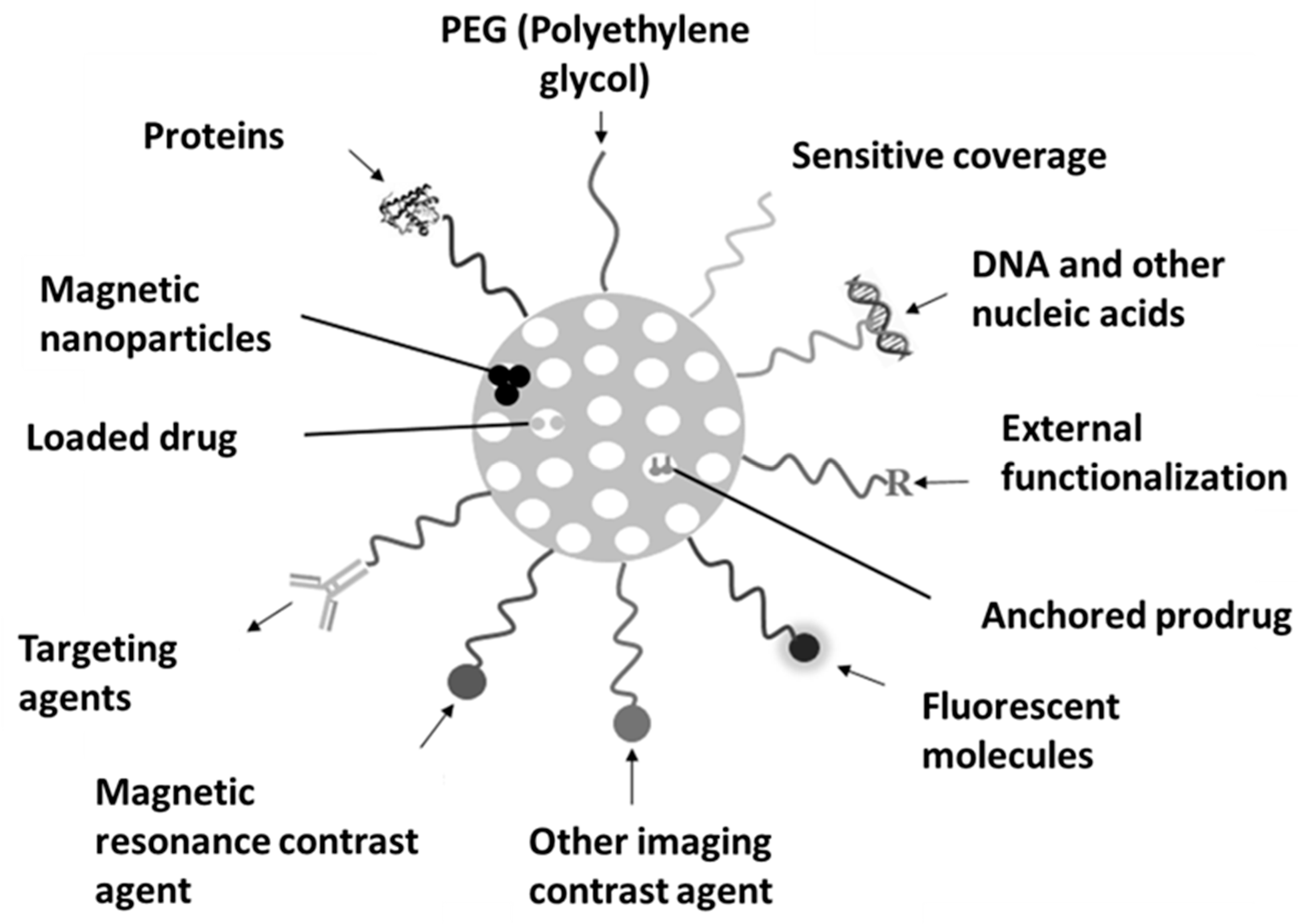 Cosmetics 12 00134 g008
