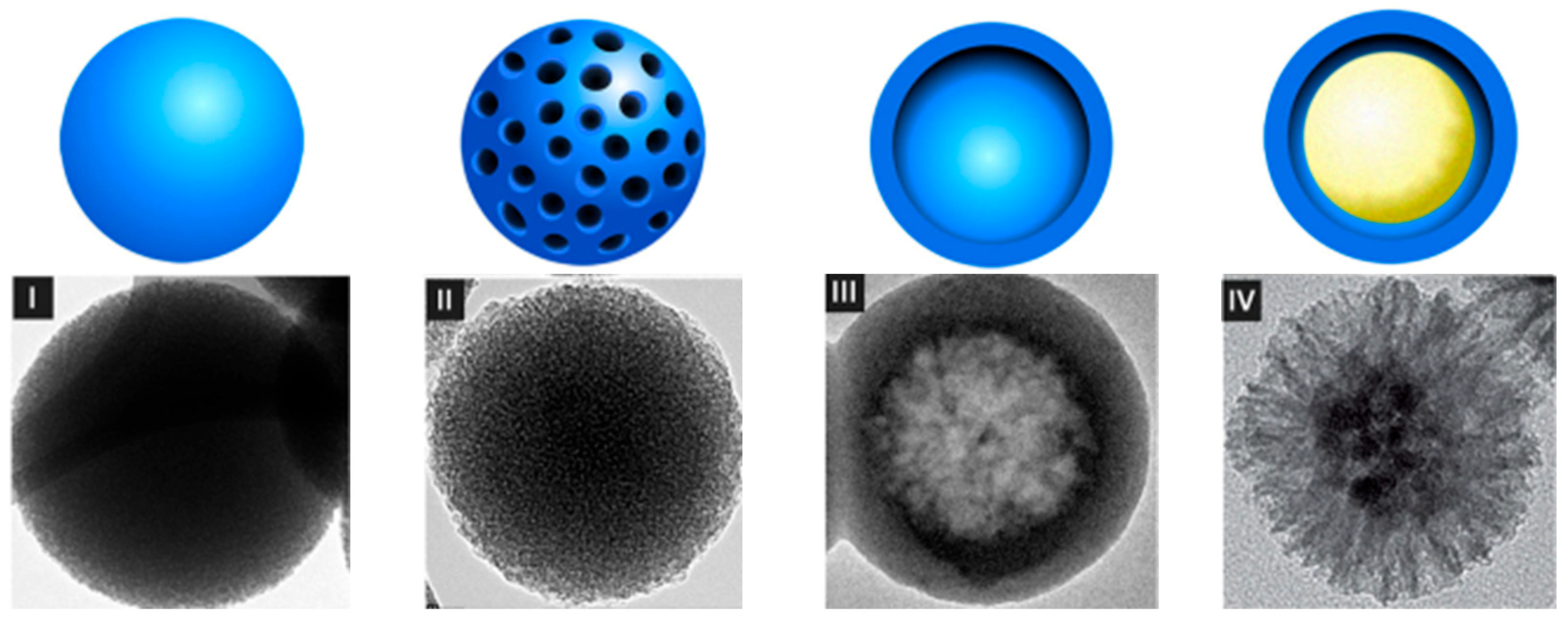 Cosmetics 12 00134 g009