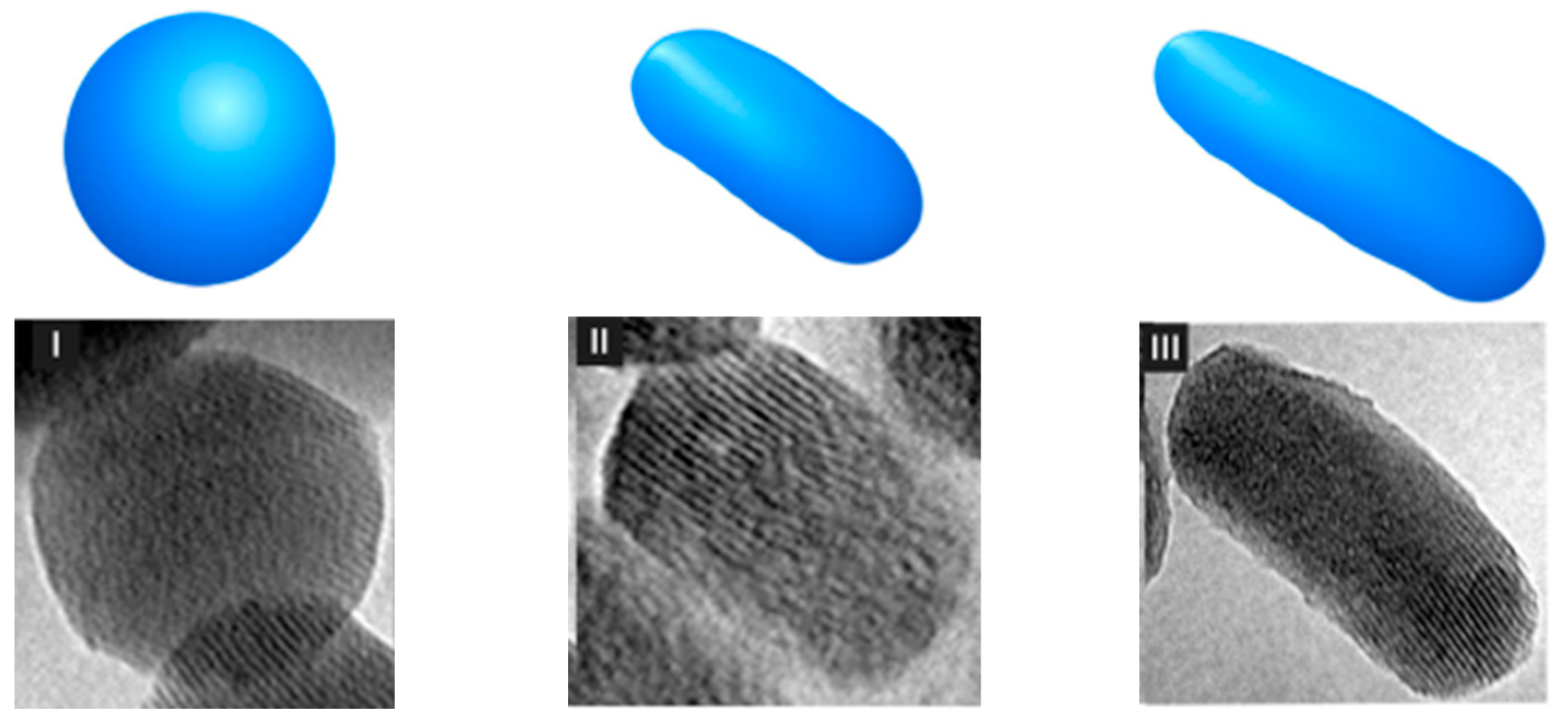 Cosmetics 12 00134 g010