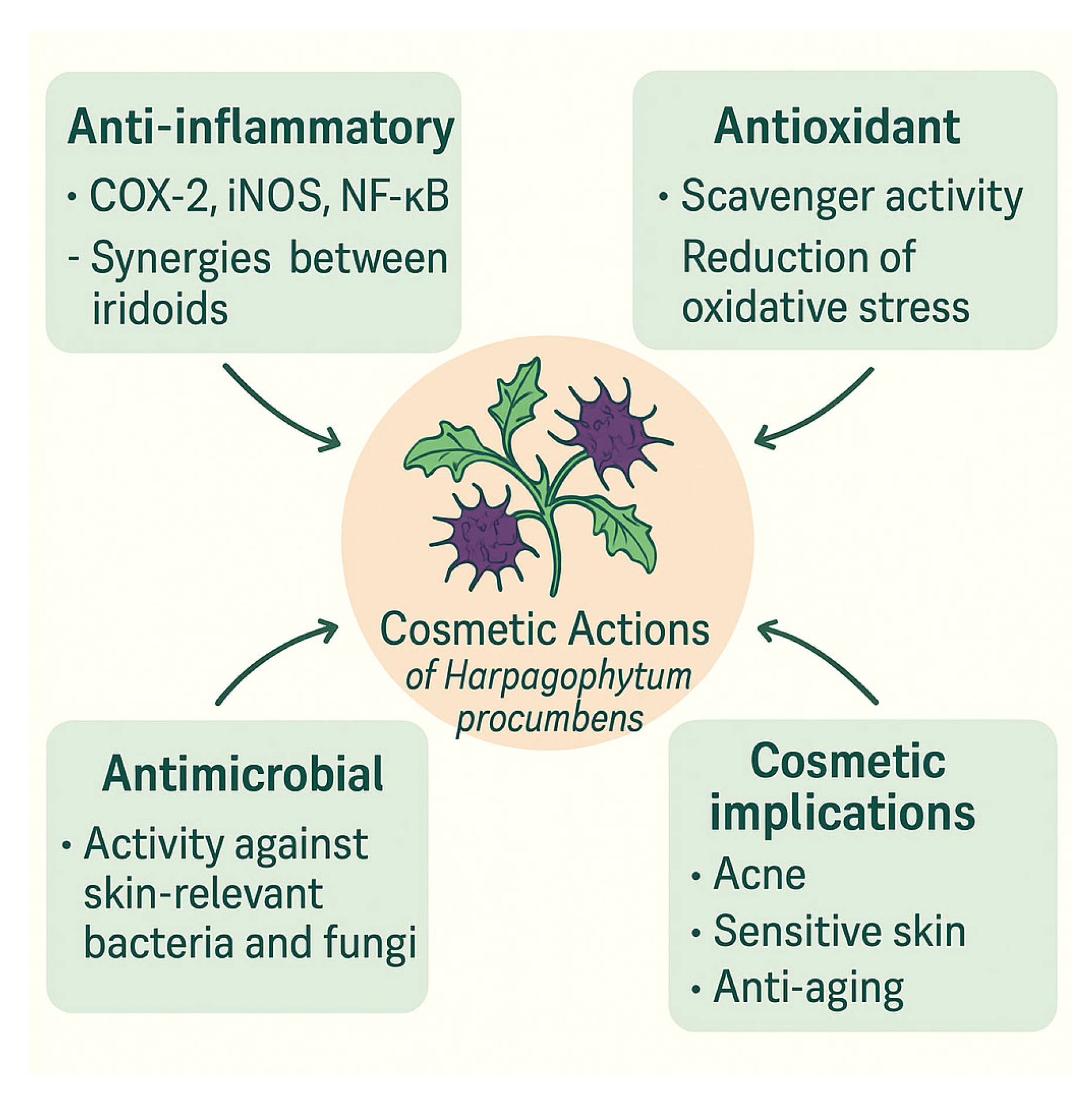 Cosmetics 12 00140 g001