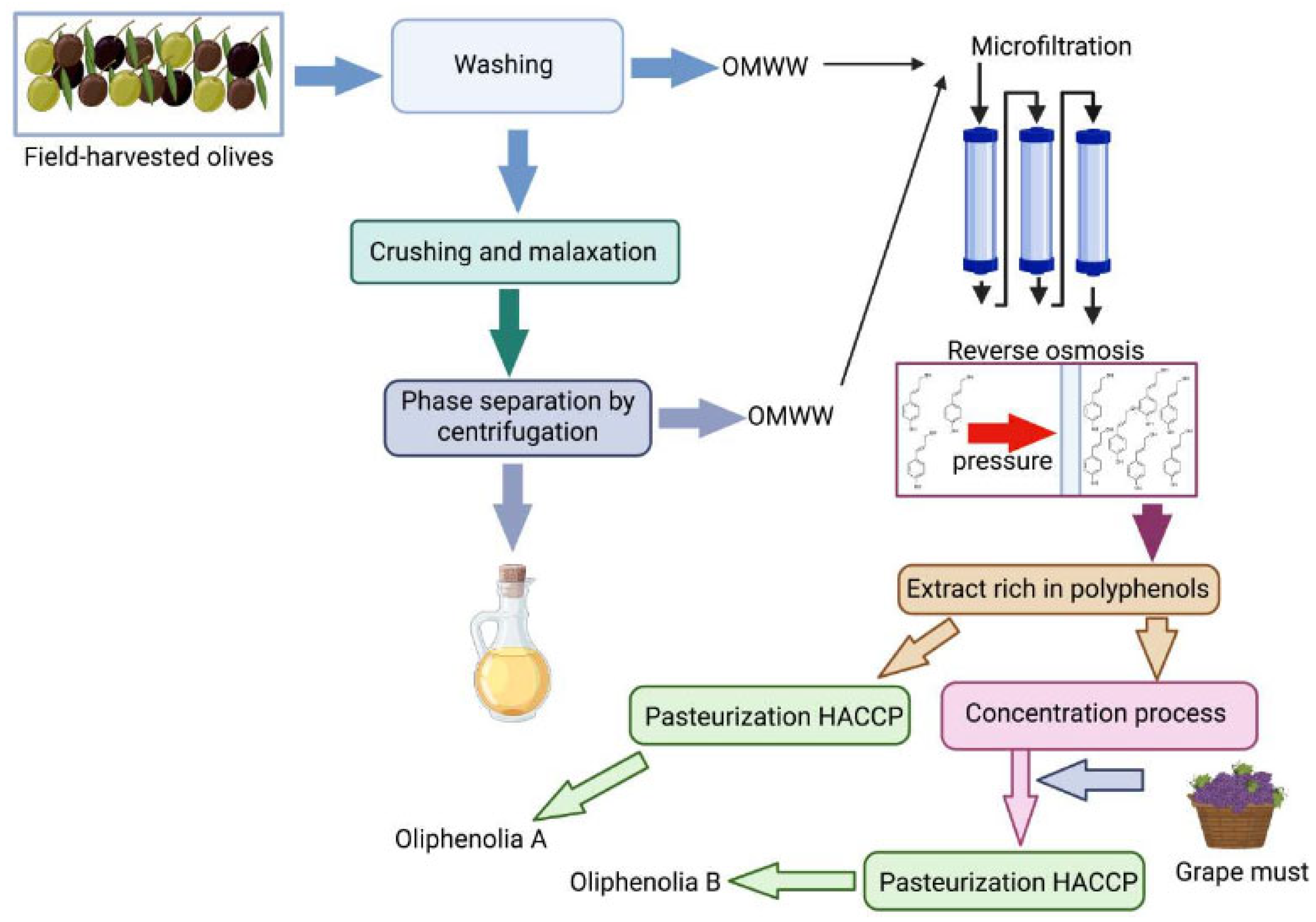 Cosmetics 12 00142 g001