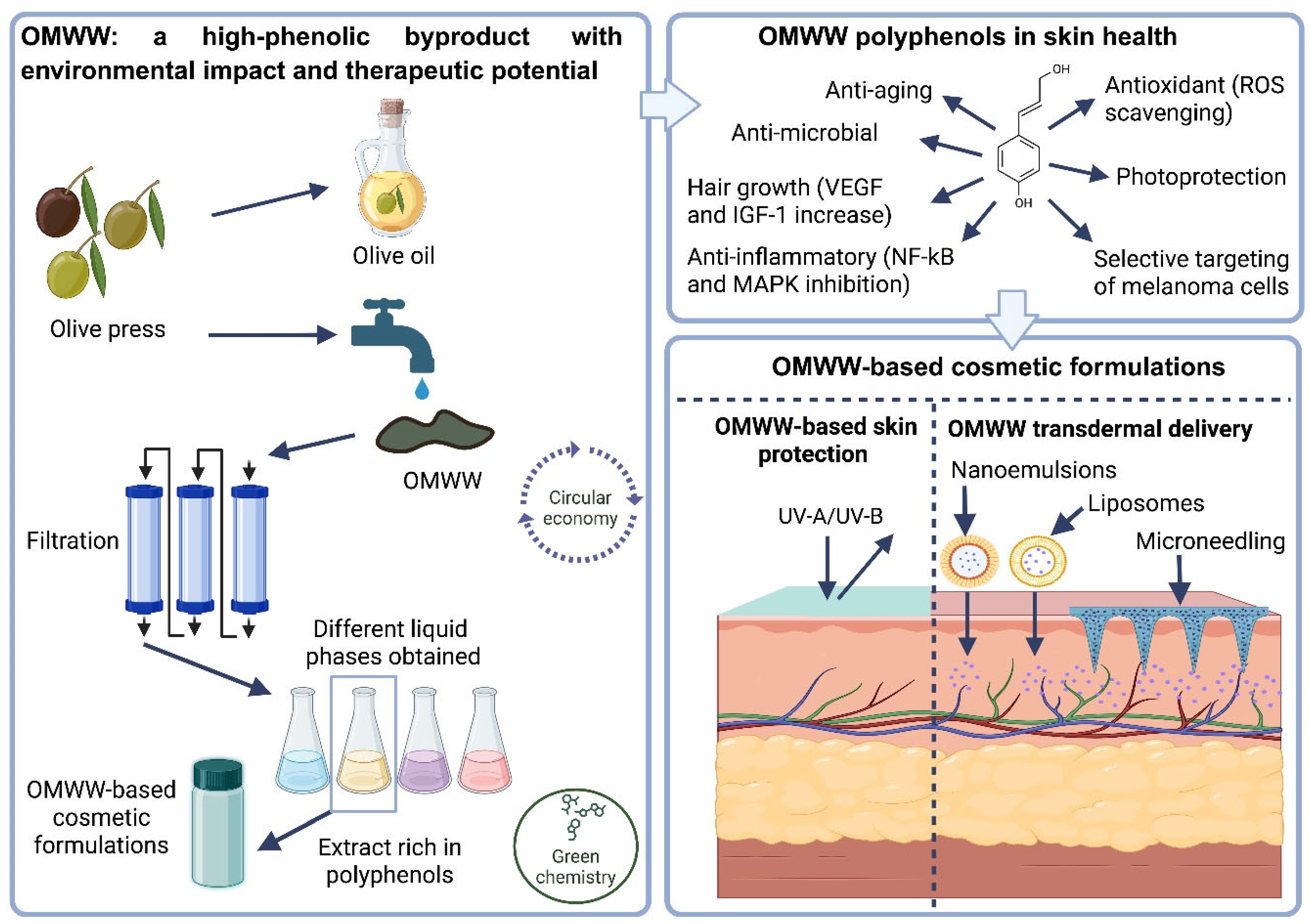 Cosmetics 12 00142 g003