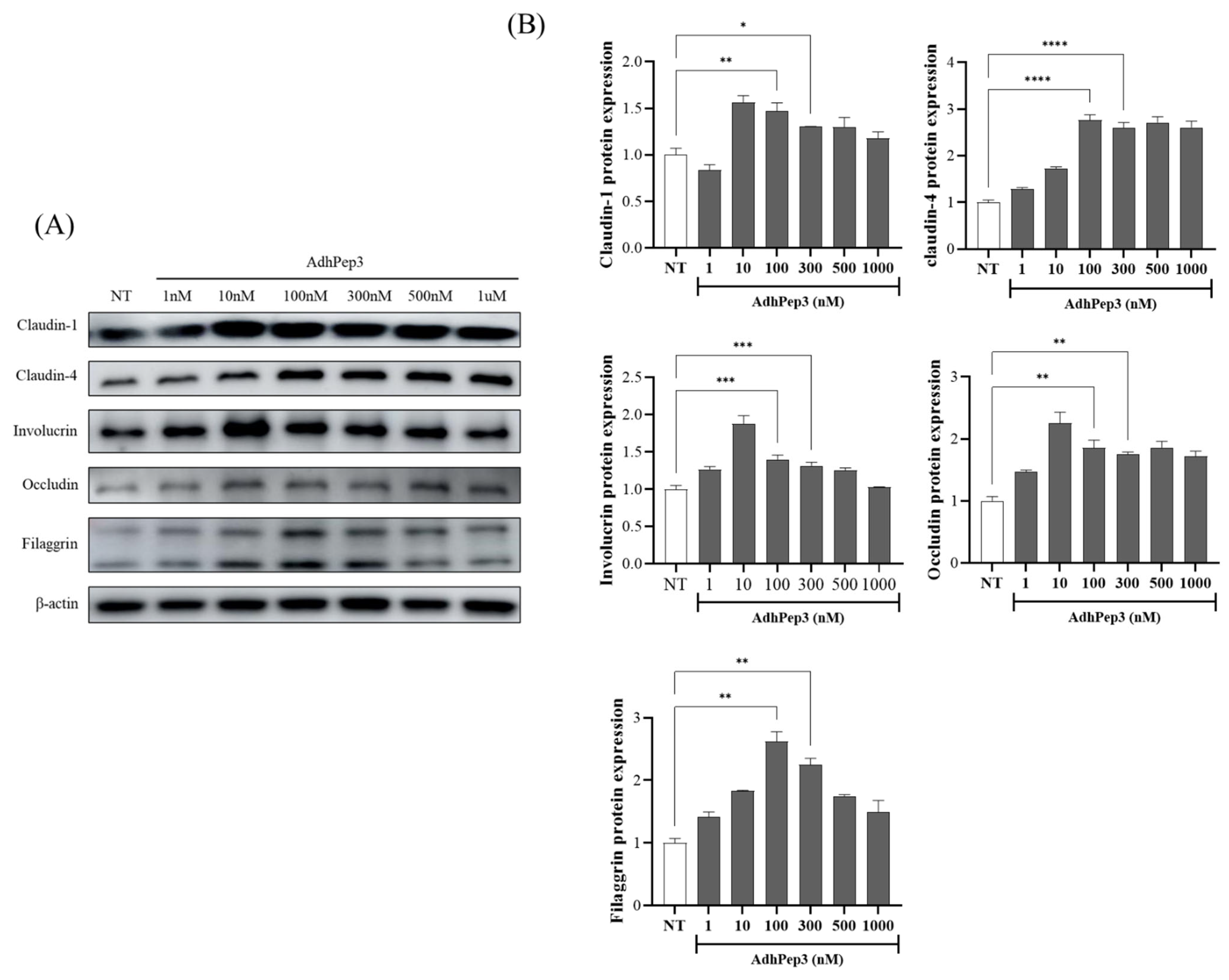 Cosmetics 12 00143 g006 Cosmetics 12 00143 g006
