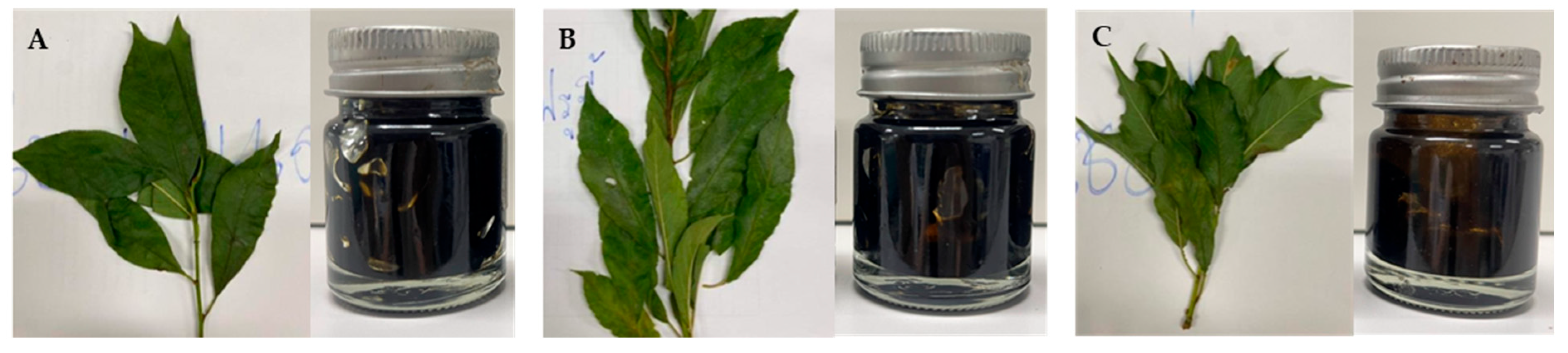 Cosmetics 12 00146 g001 Cosmetics 12 00146 g001