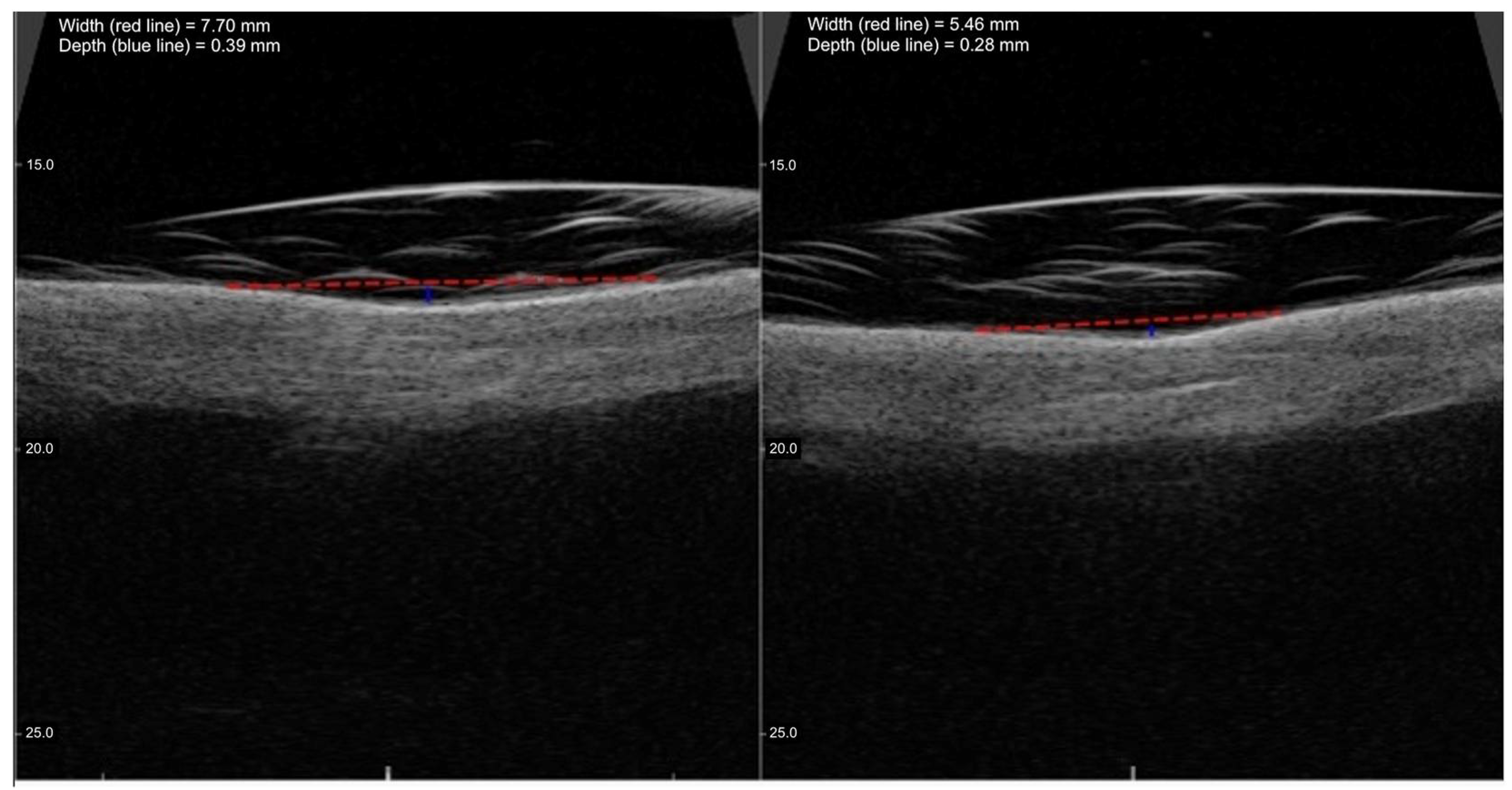 Cosmetics 12 00148 g005
