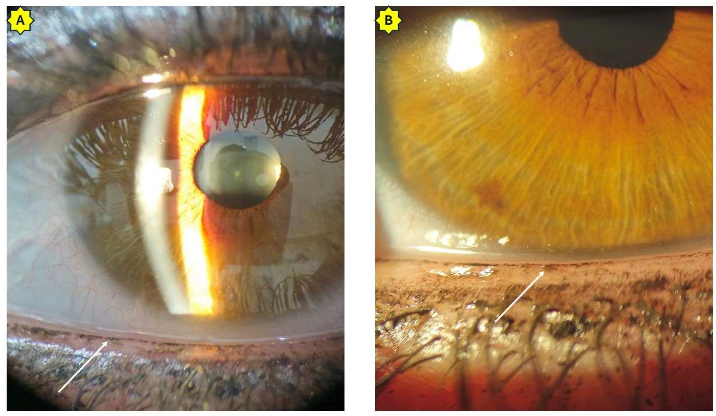 Cosmetics 12 00149 g003