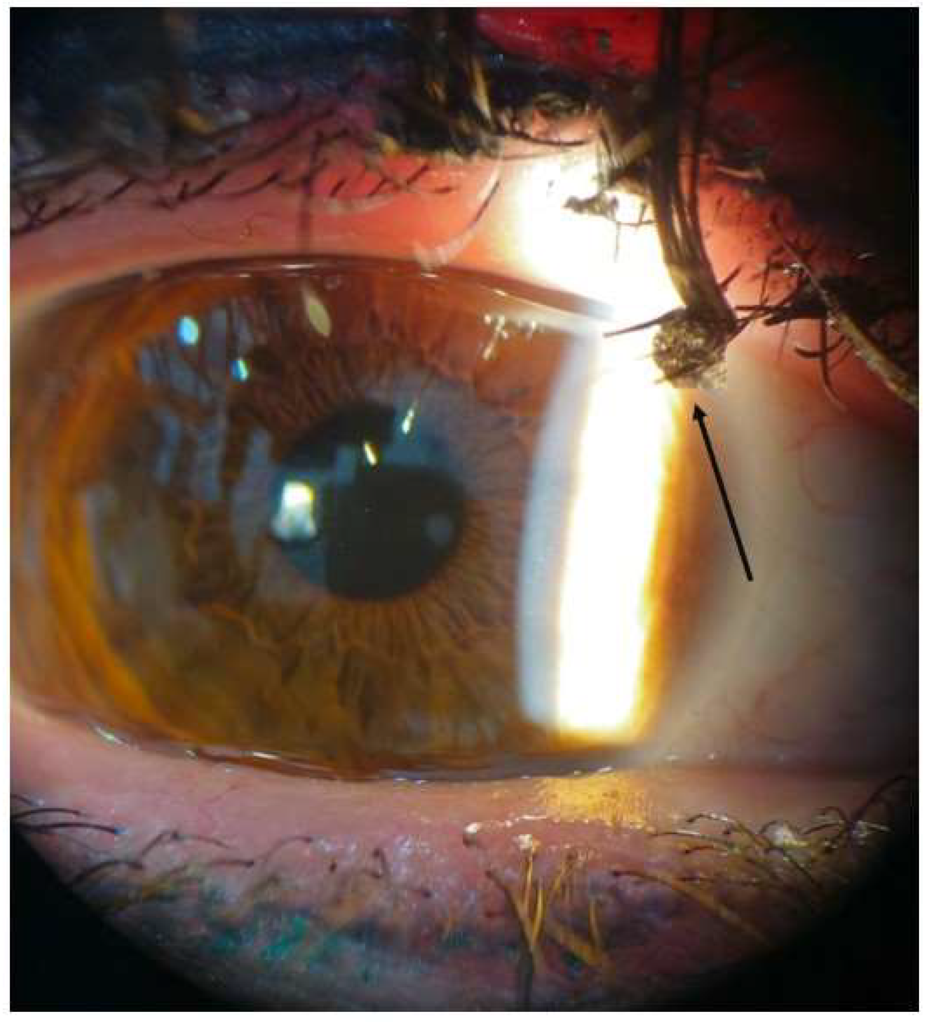 Cosmetics 12 00149 g004