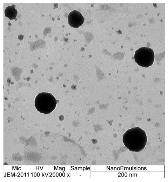 Unlocking the Skin Health-Promoting Ingredients of Honeysuckle
