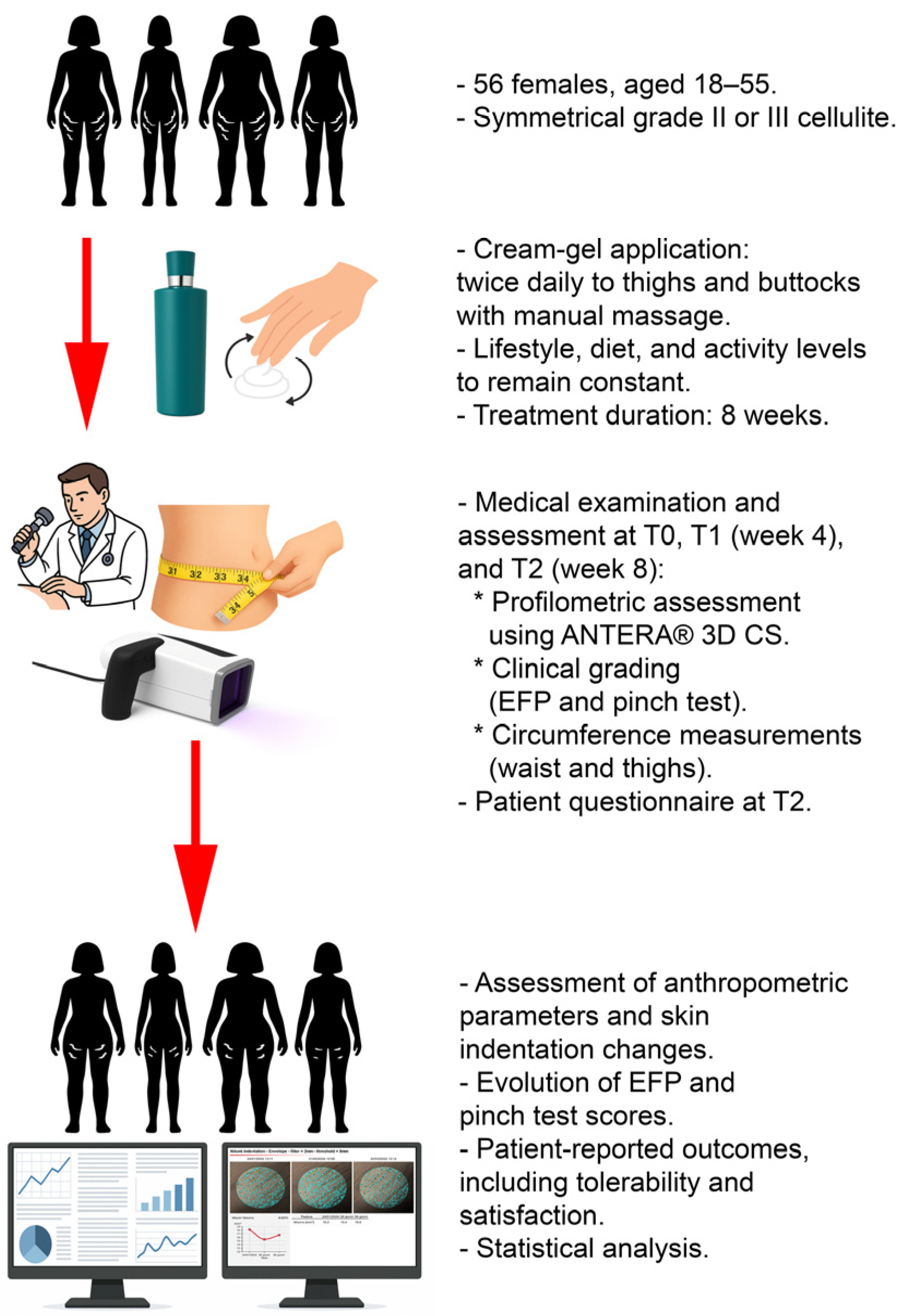 Cosmetics 12 00155 g001