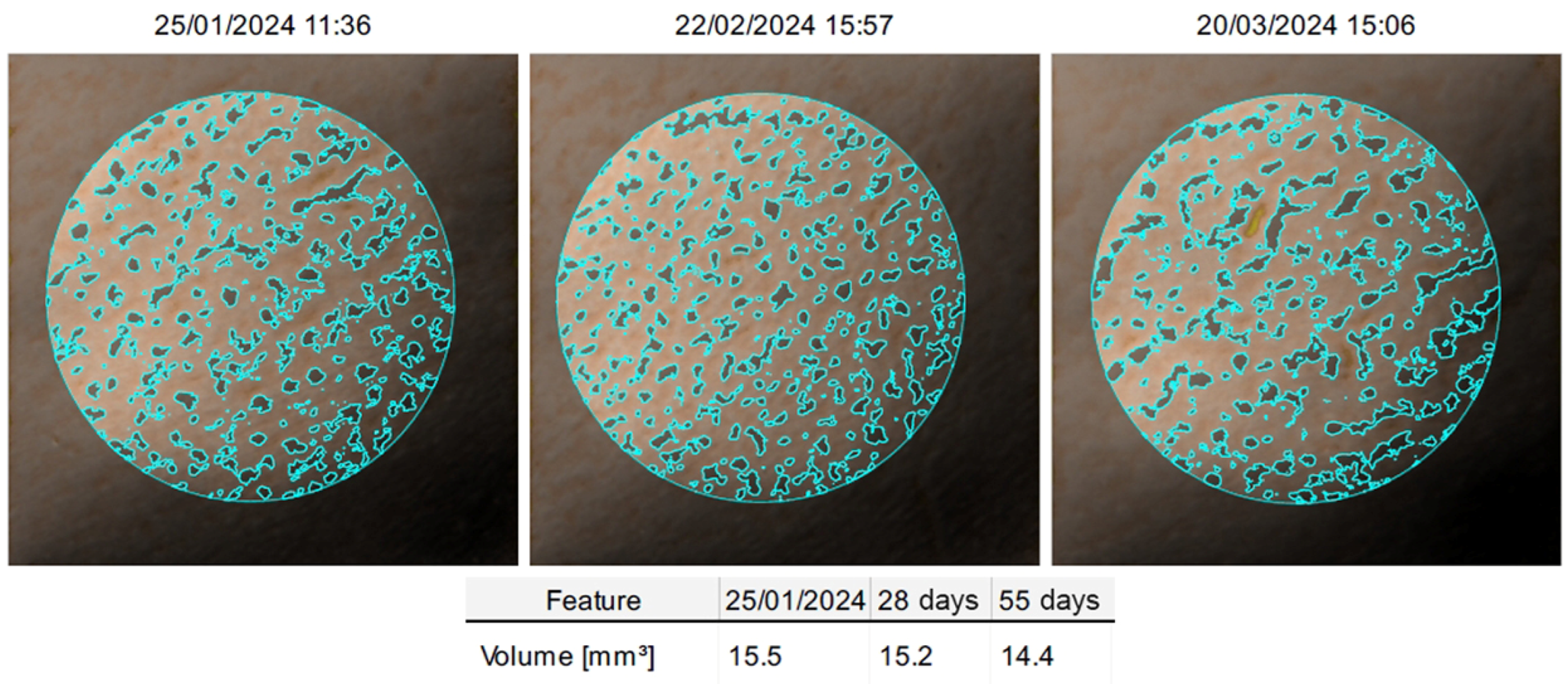 Cosmetics 12 00155 g002