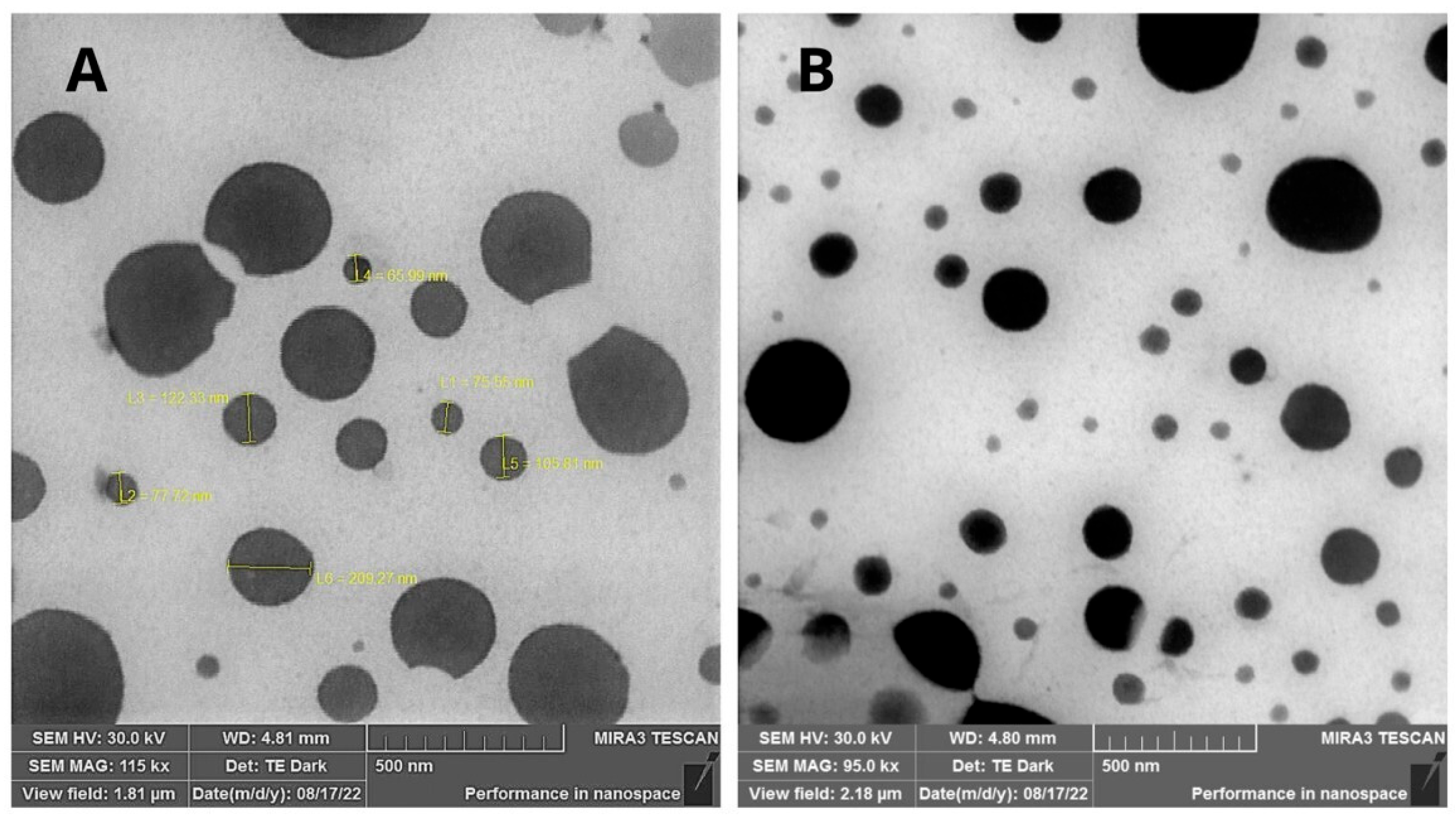 Cosmetics 12 00159 g001