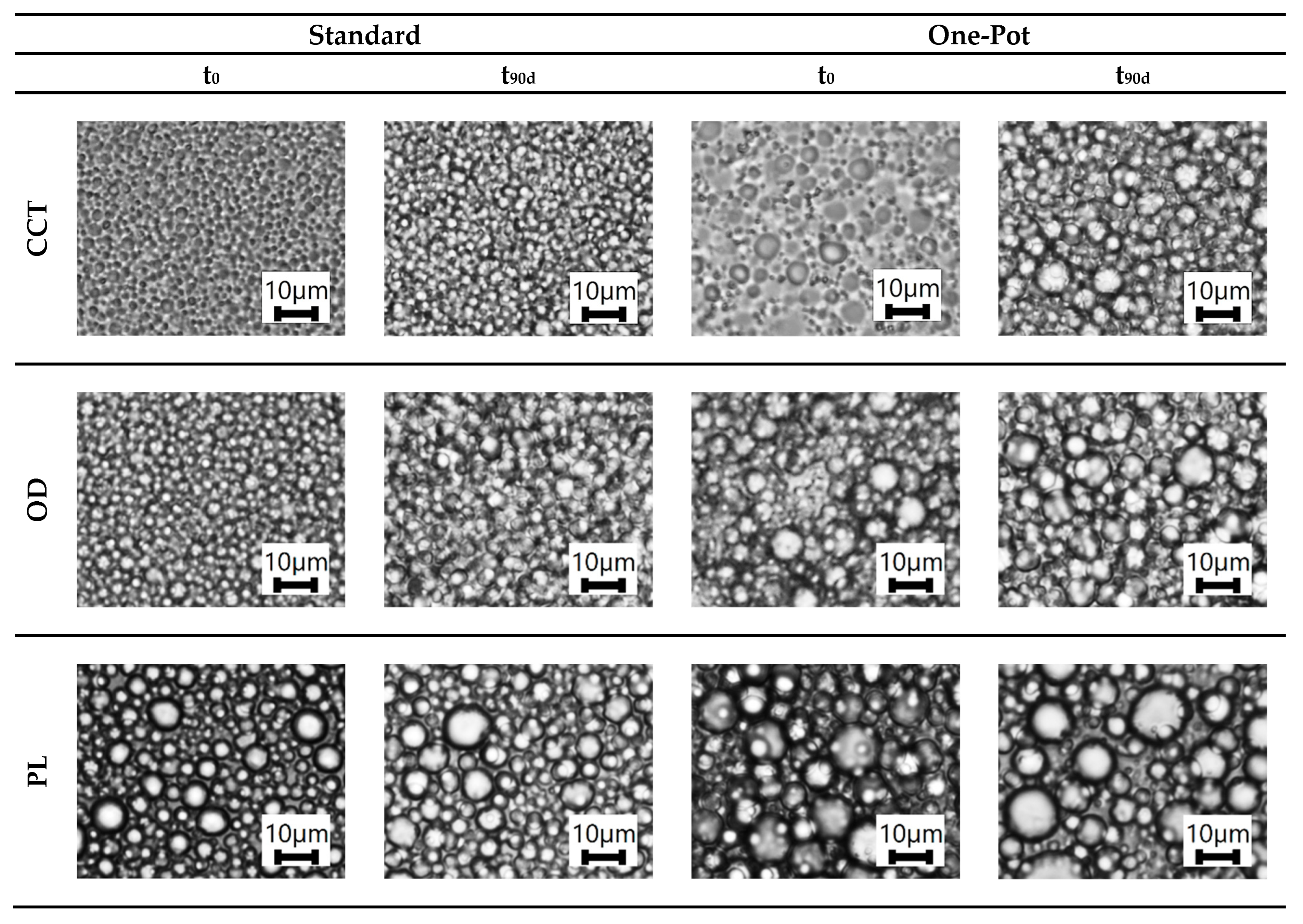 Cosmetics 12 00164 g002