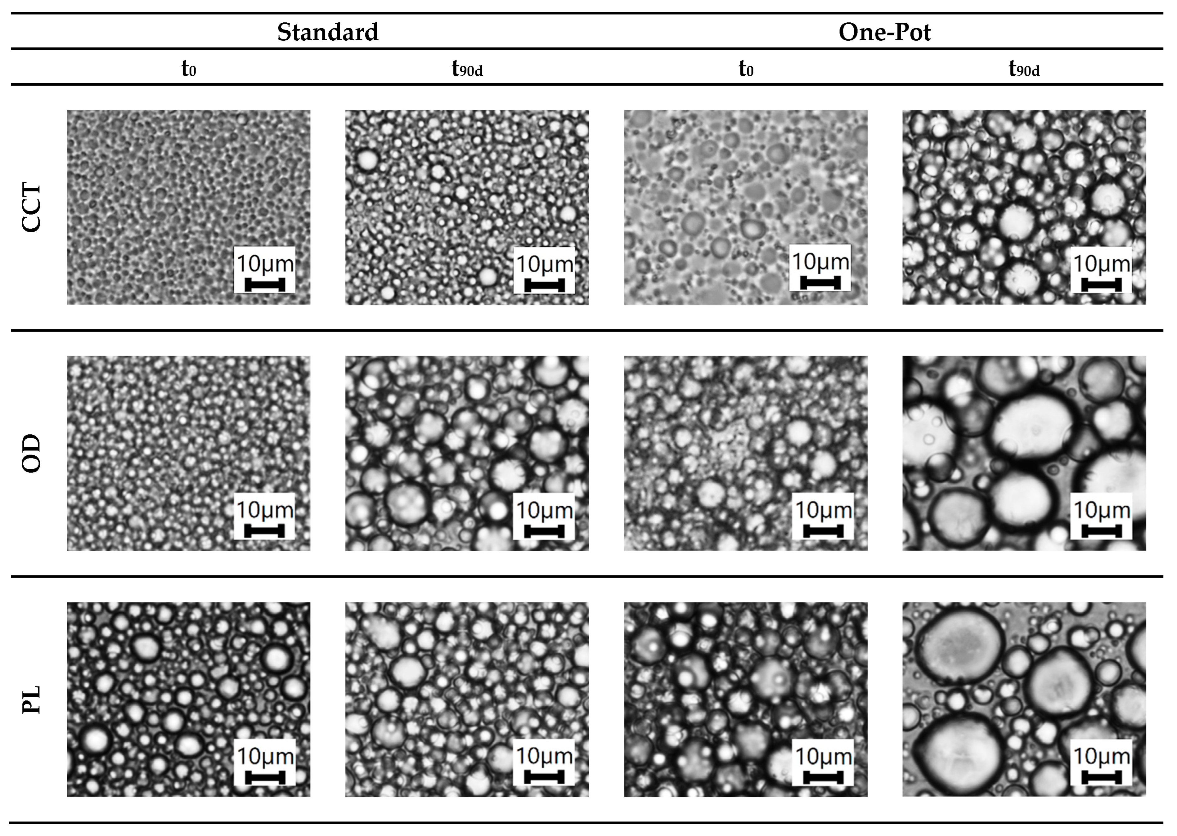 Cosmetics 12 00164 g004