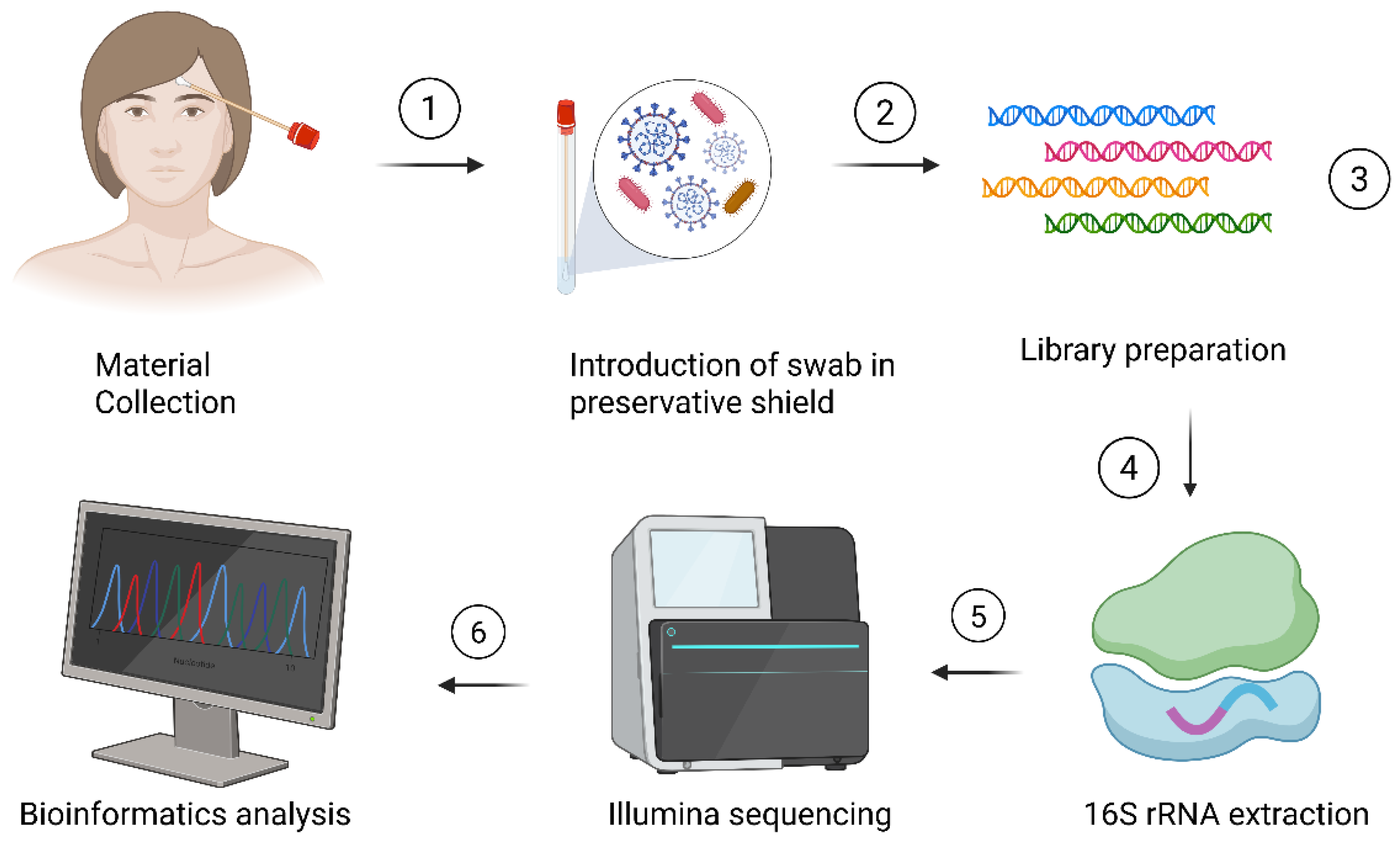 Cosmetics 12 00165 g001 Cosmetics 12 00165 g001