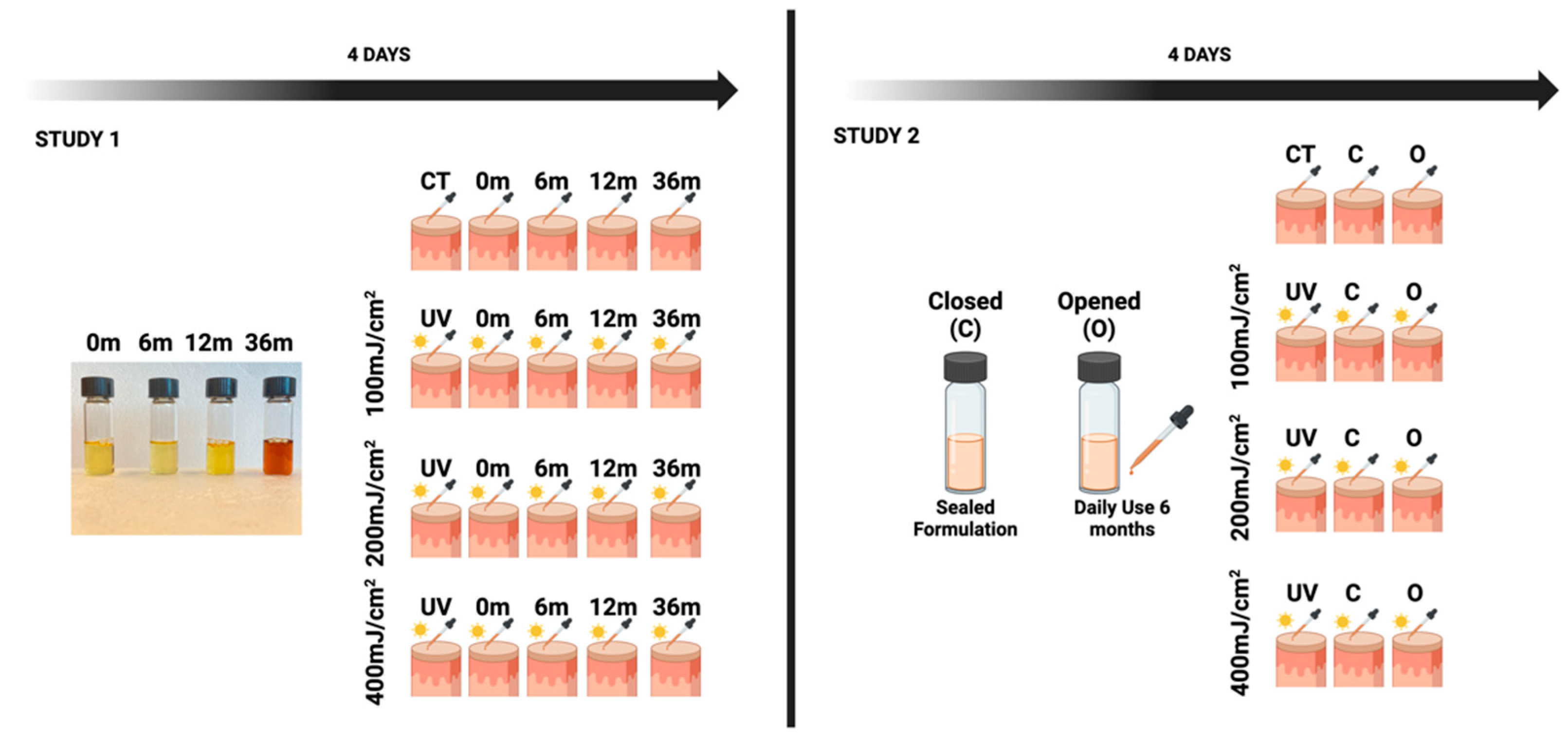 Cosmetics 12 00166 g001