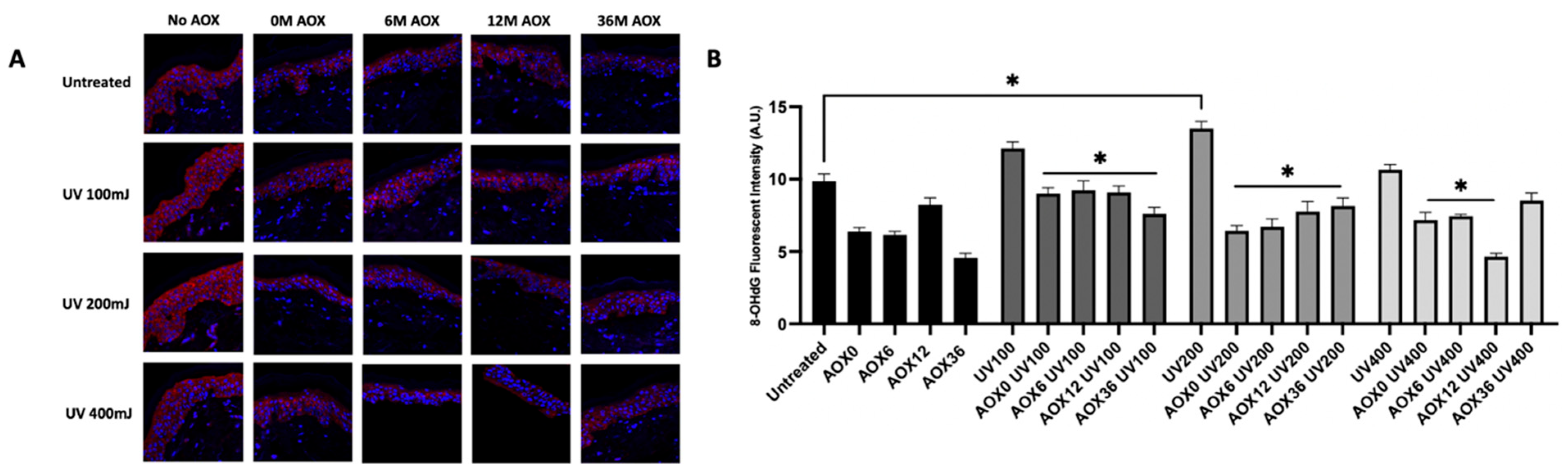 Cosmetics 12 00166 g003