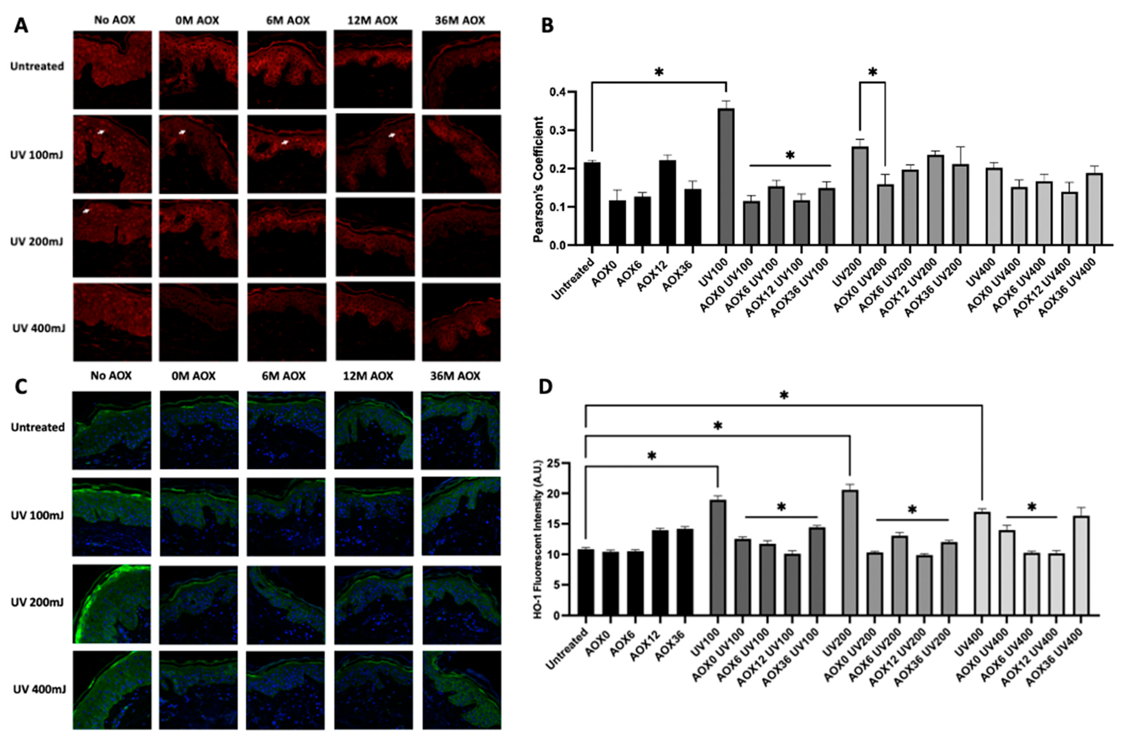 Cosmetics 12 00166 g004