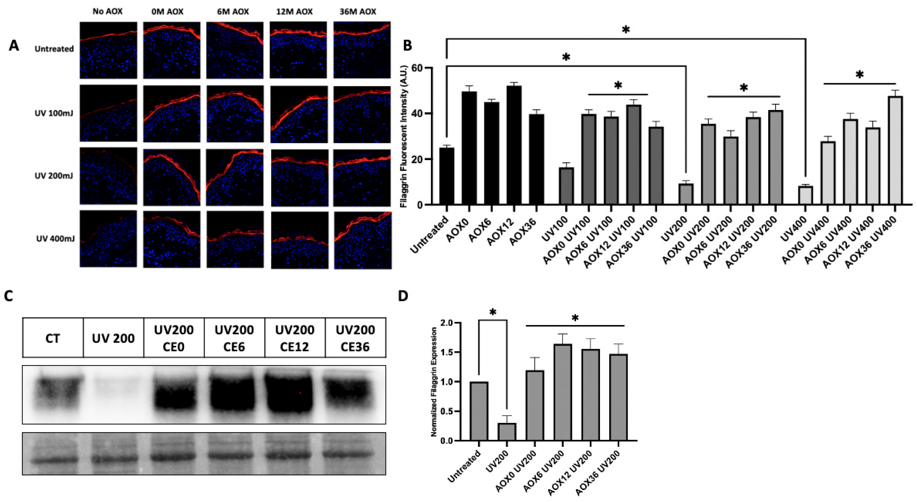 Cosmetics 12 00166 g006