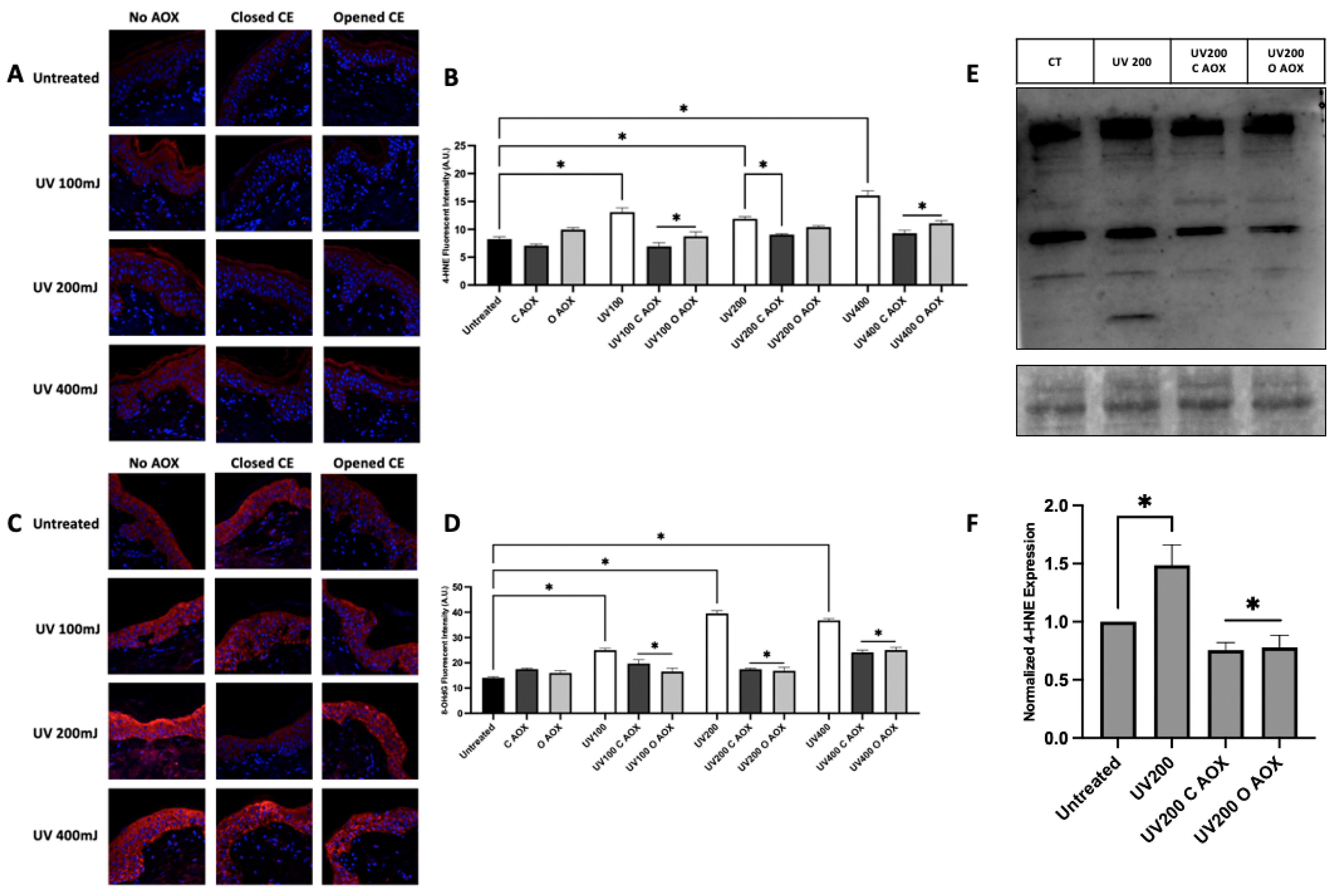 Cosmetics 12 00166 g008