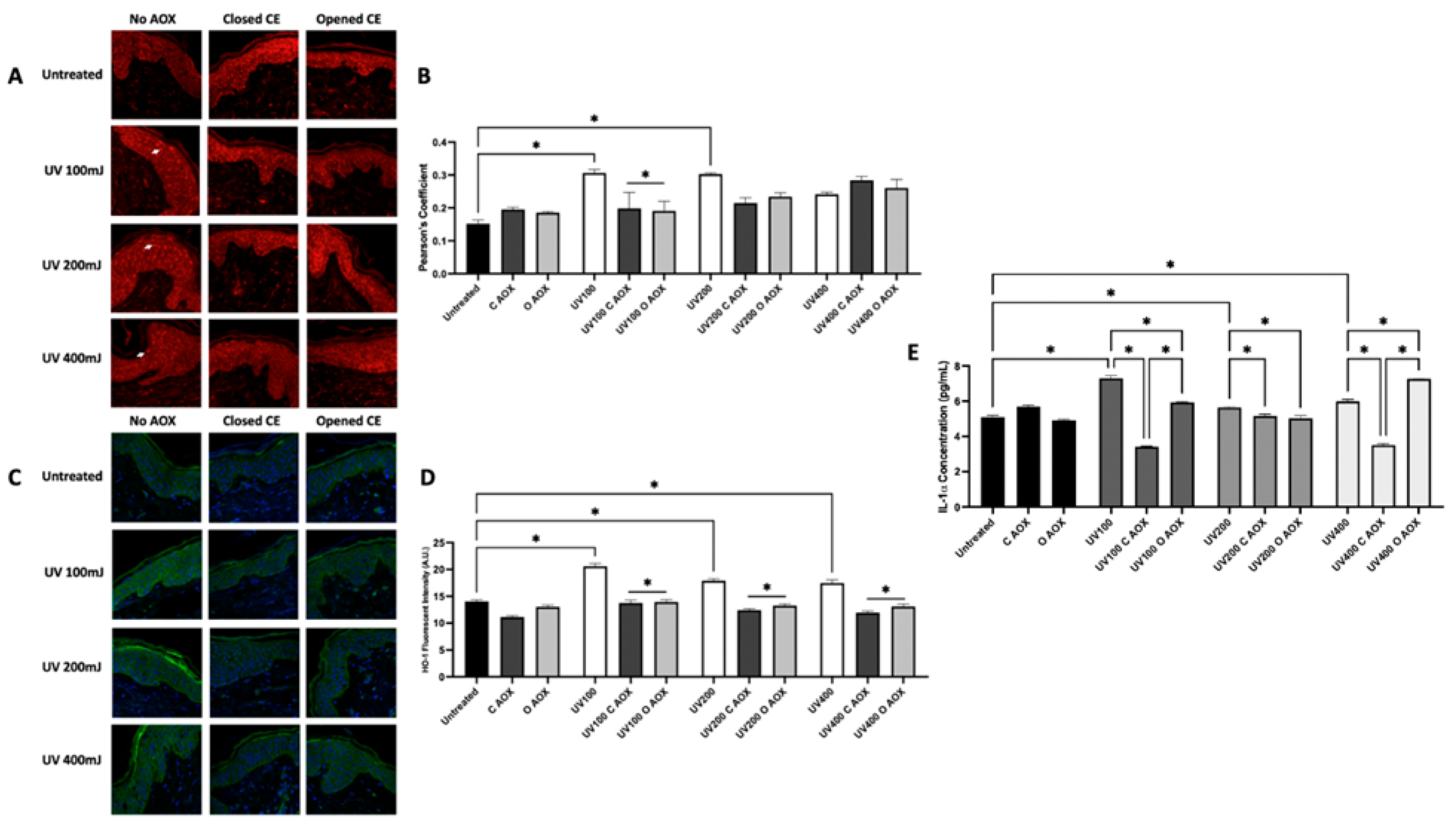 Cosmetics 12 00166 g009