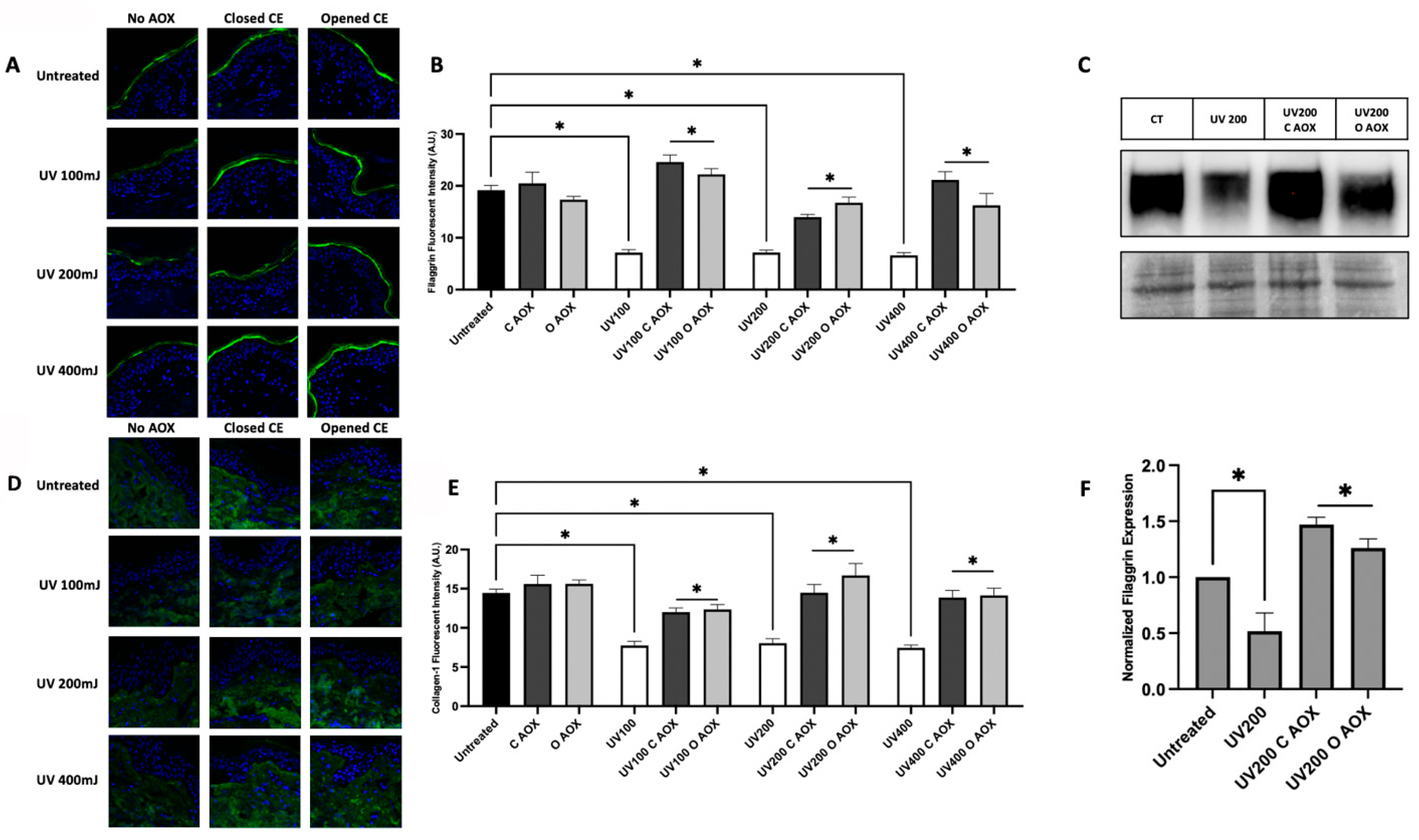 Cosmetics 12 00166 g010