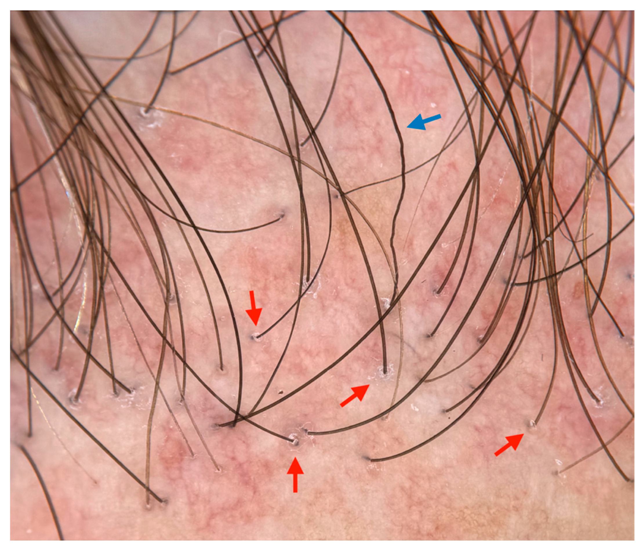 Cosmetics 12 00168 g001