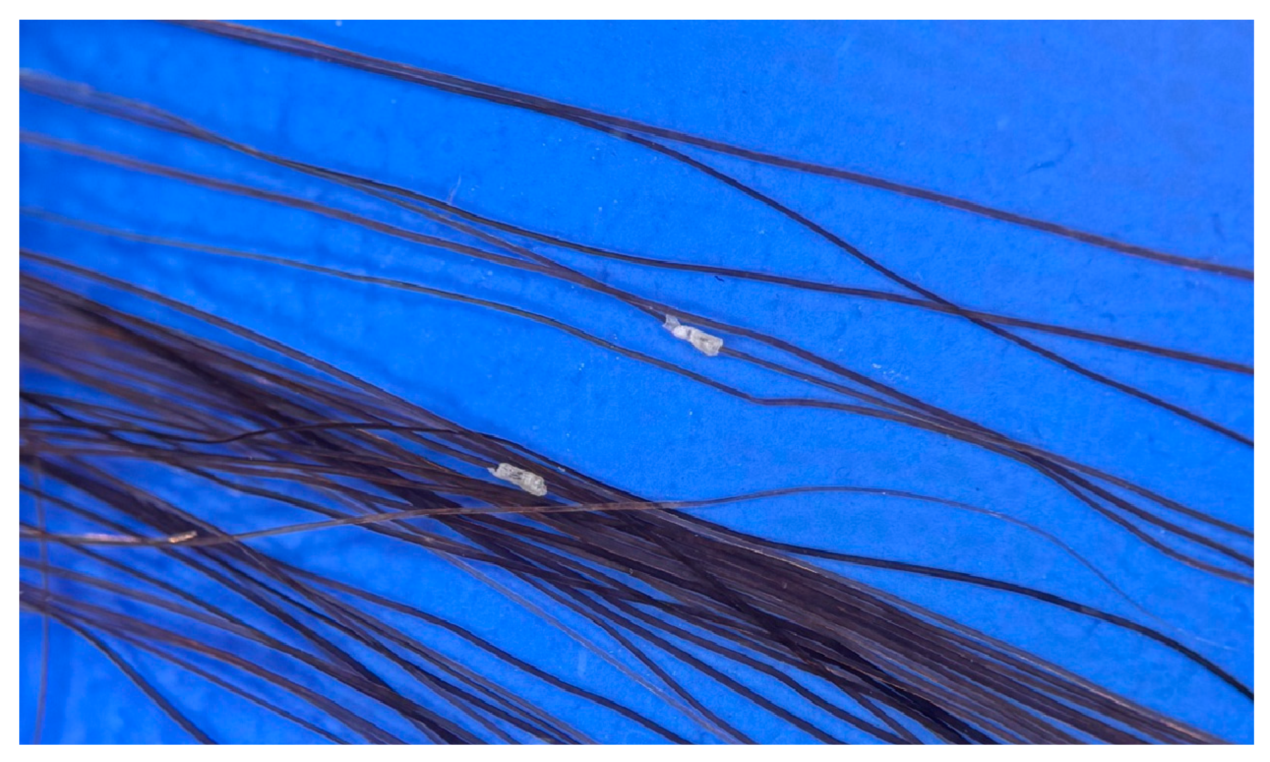 Cosmetics 12 00168 g003