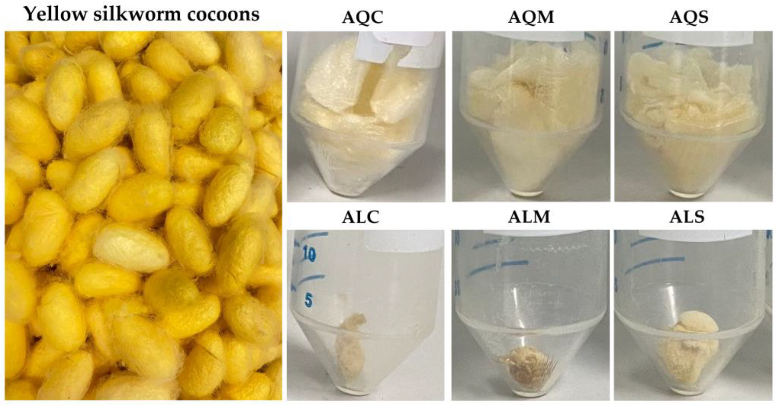 Cosmetics 12 00170 g001