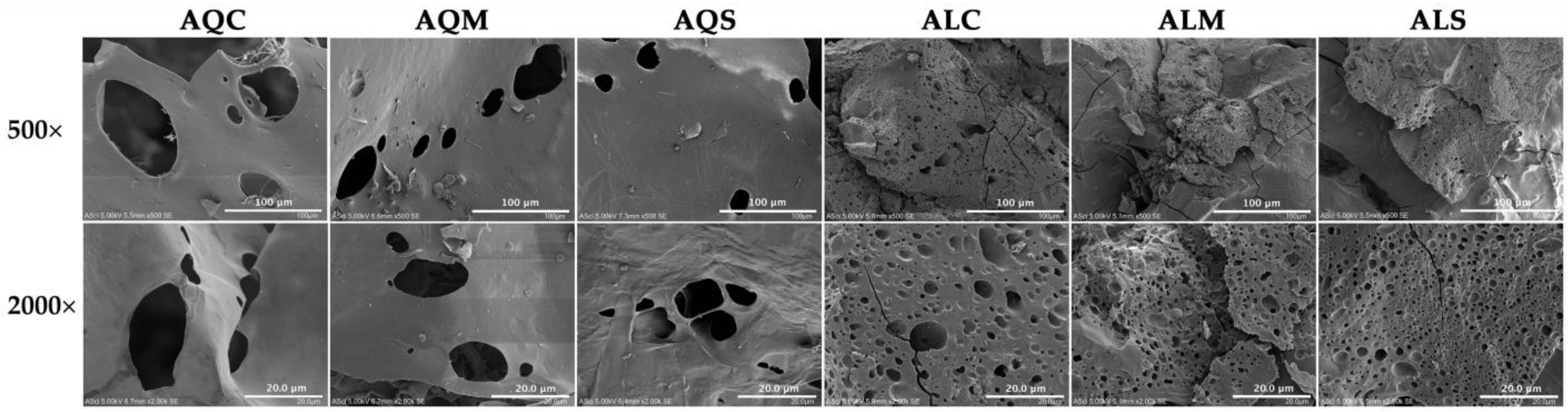 Cosmetics 12 00170 g002