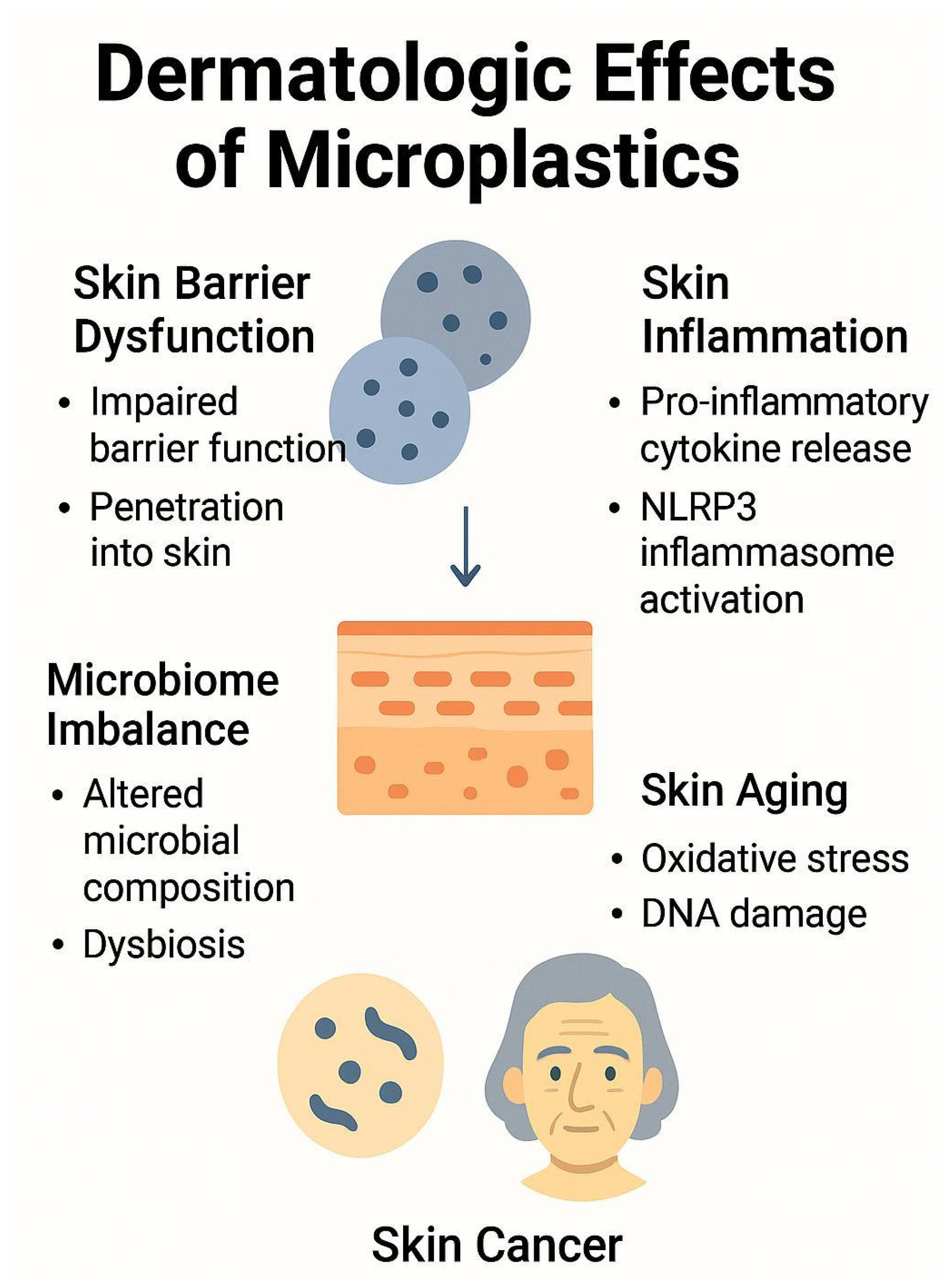 Cosmetics 12 00171 g001