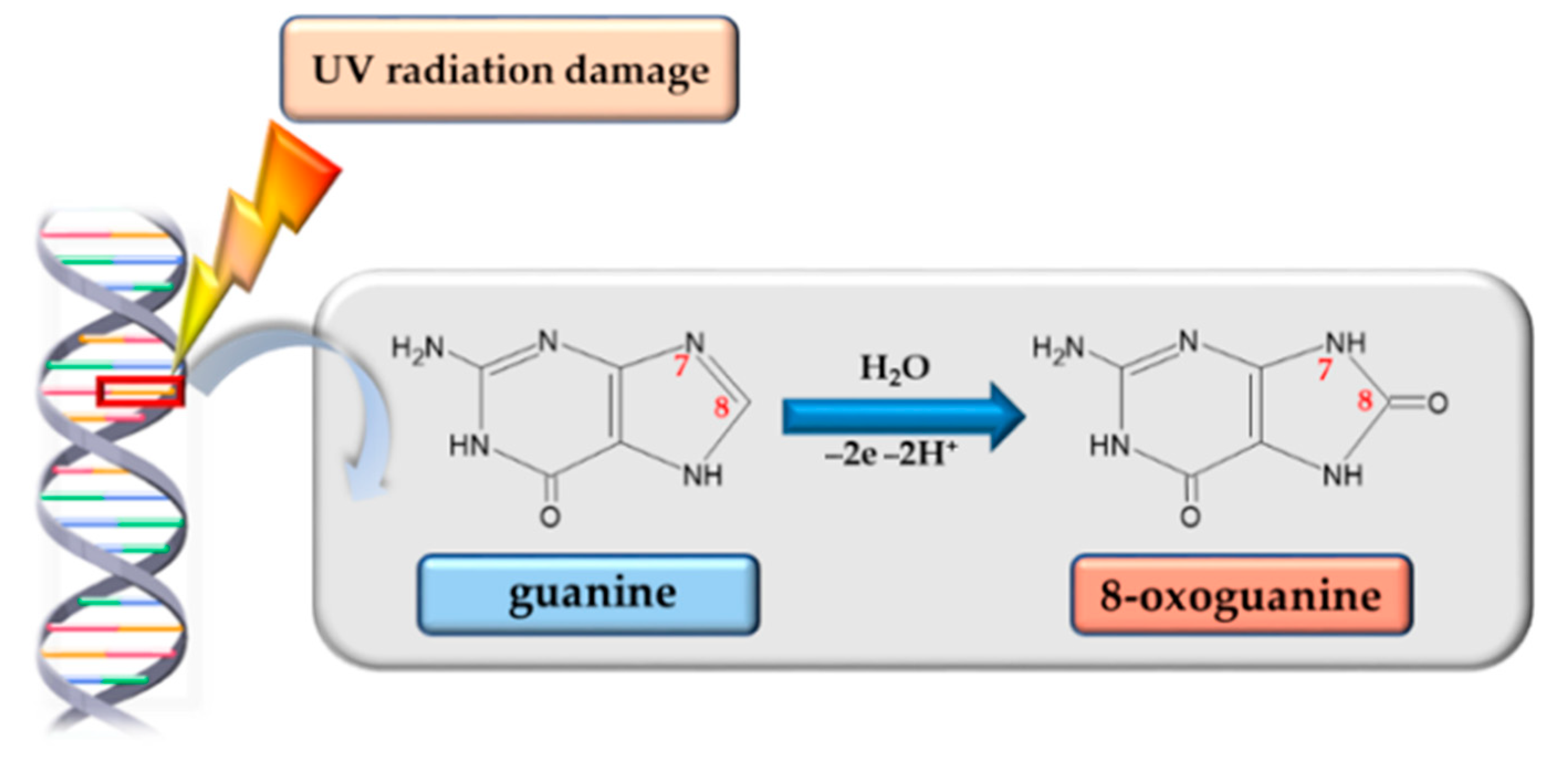 Cosmetics 12 00172 g005 Cosmetics 12 00172 g005