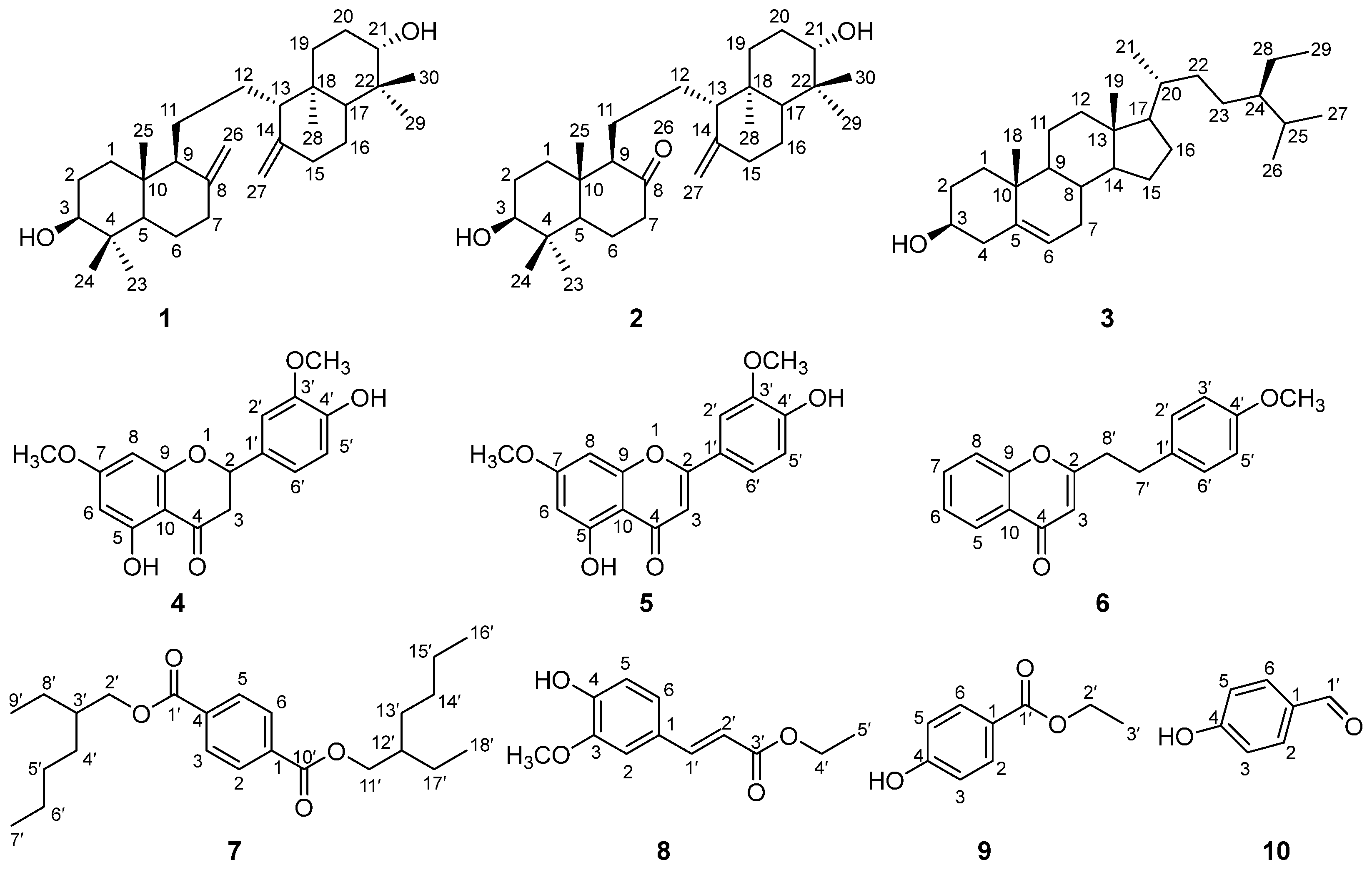 Cosmetics 12 00174 g004 Cosmetics 12 00174 g004