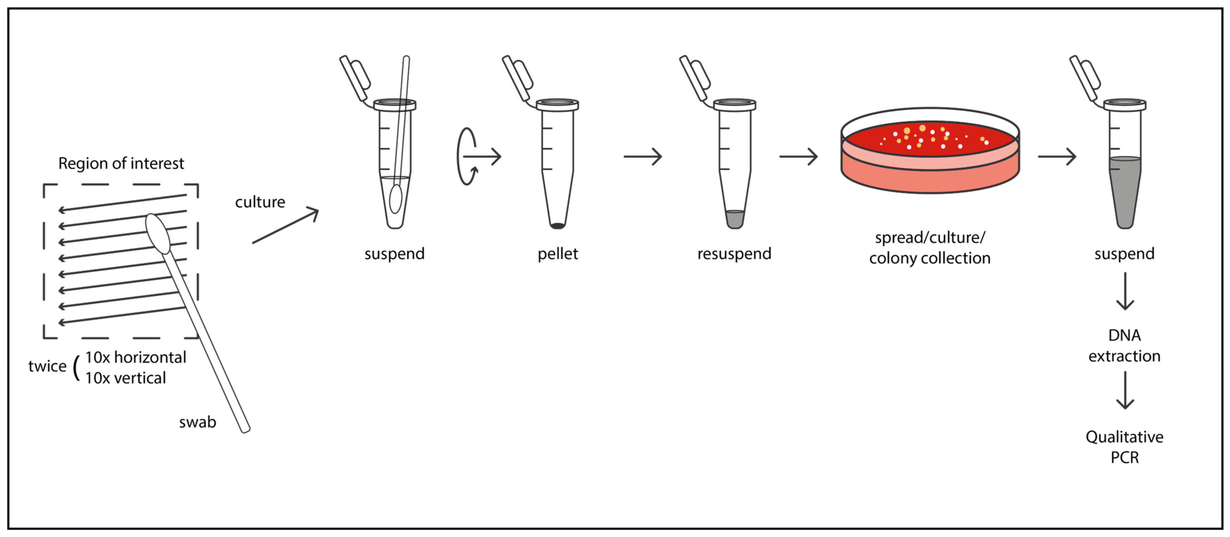 Cosmetics 12 00178 g001 Cosmetics 12 00178 g001