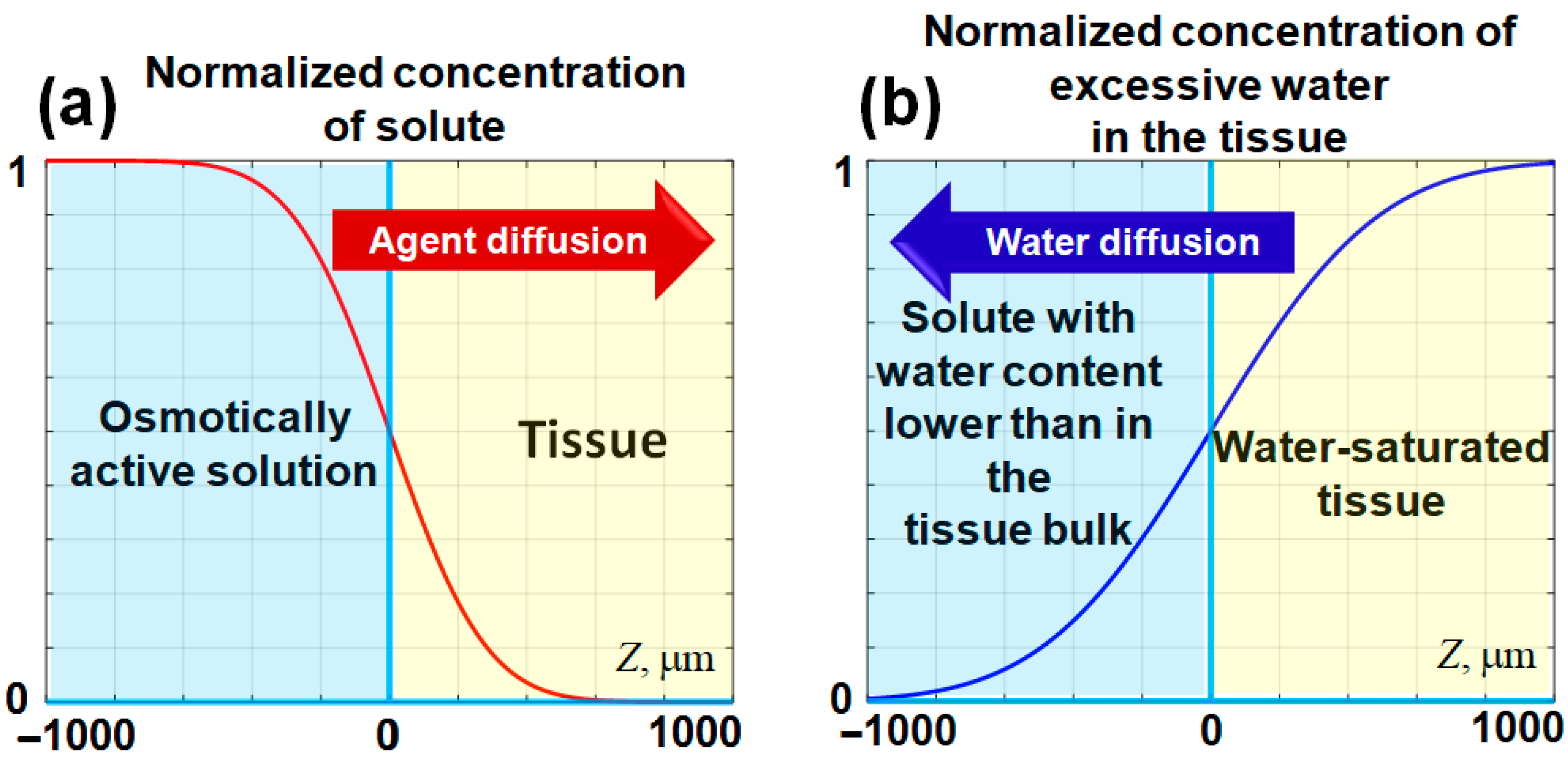 Cosmetics 12 00183 g001