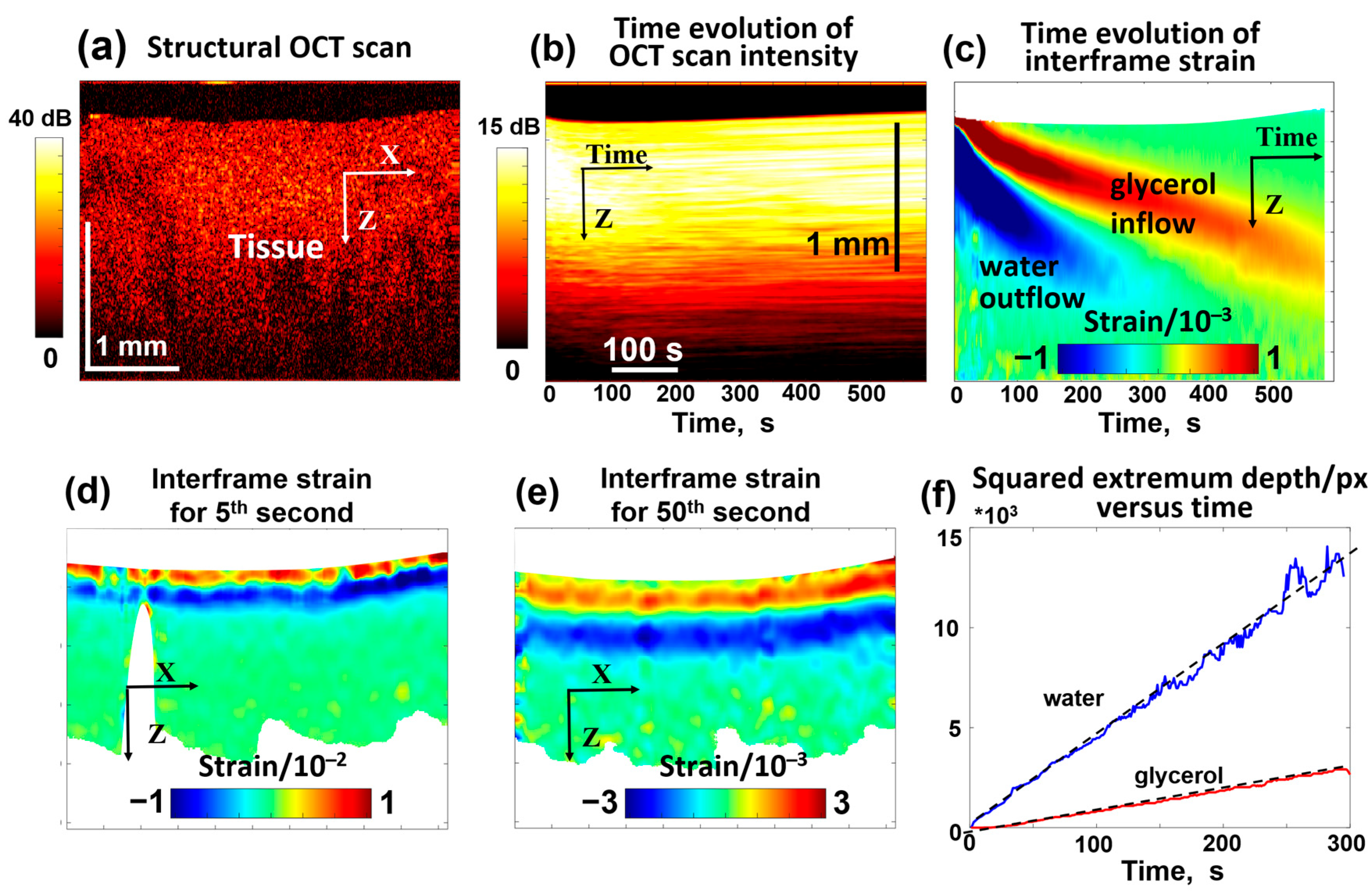 Cosmetics 12 00183 g005