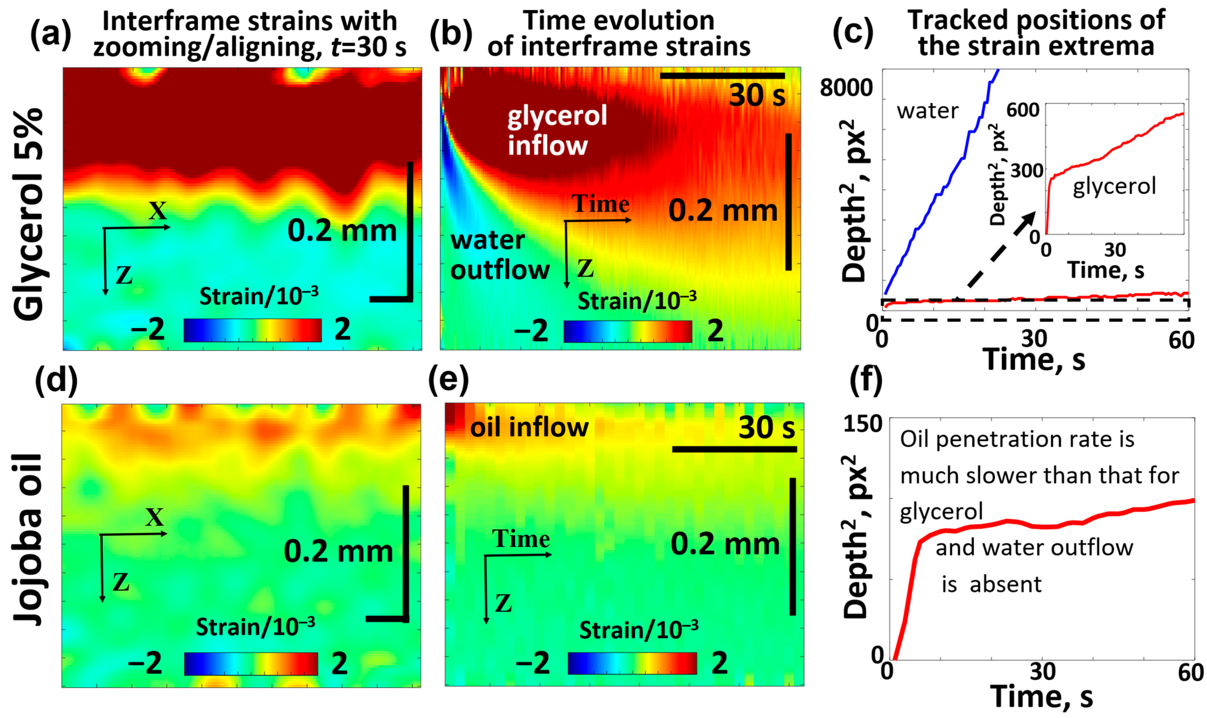Cosmetics 12 00183 g008