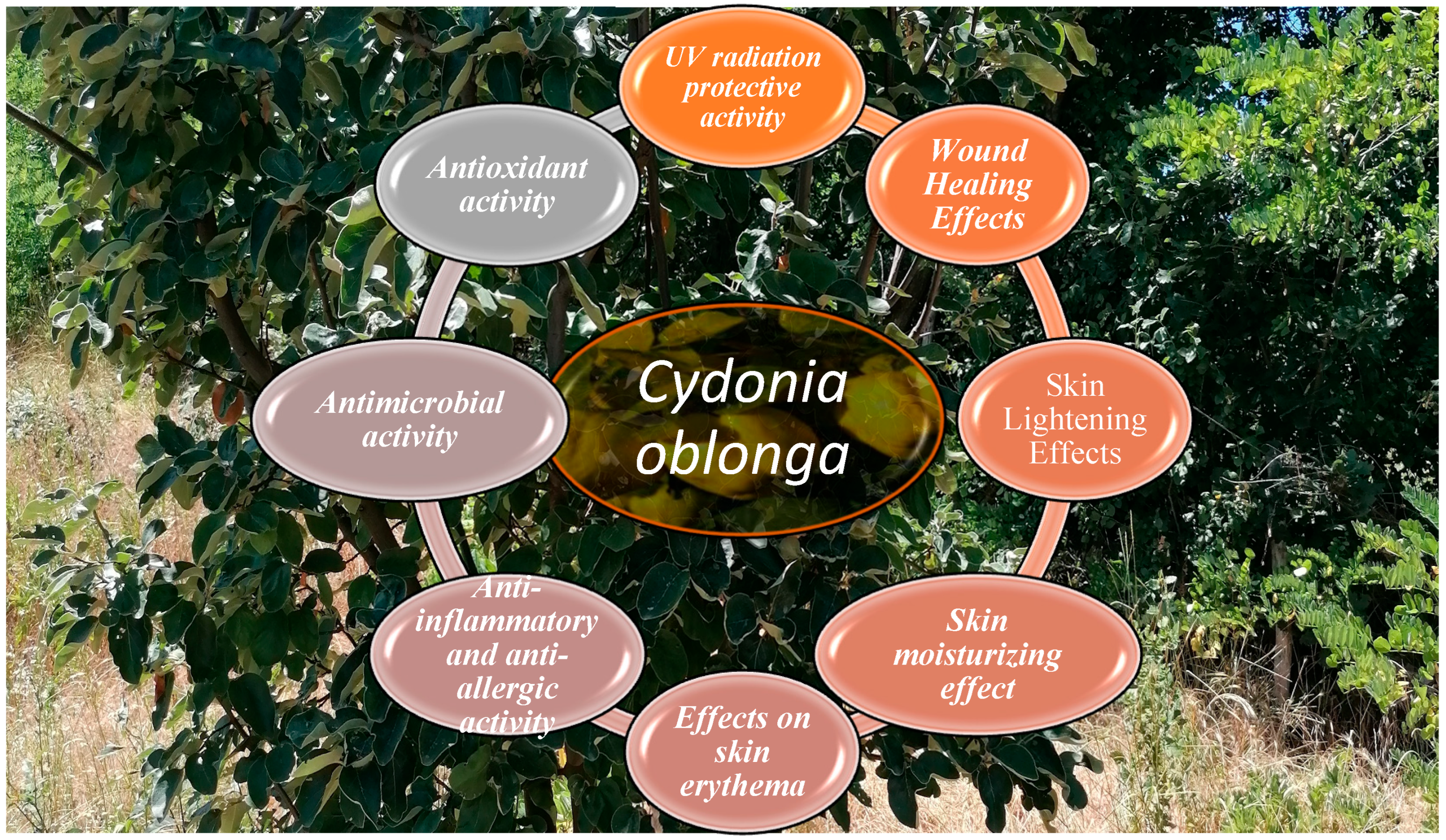 Cosmetics 12 00187 g001 Cosmetics 12 00187 g001