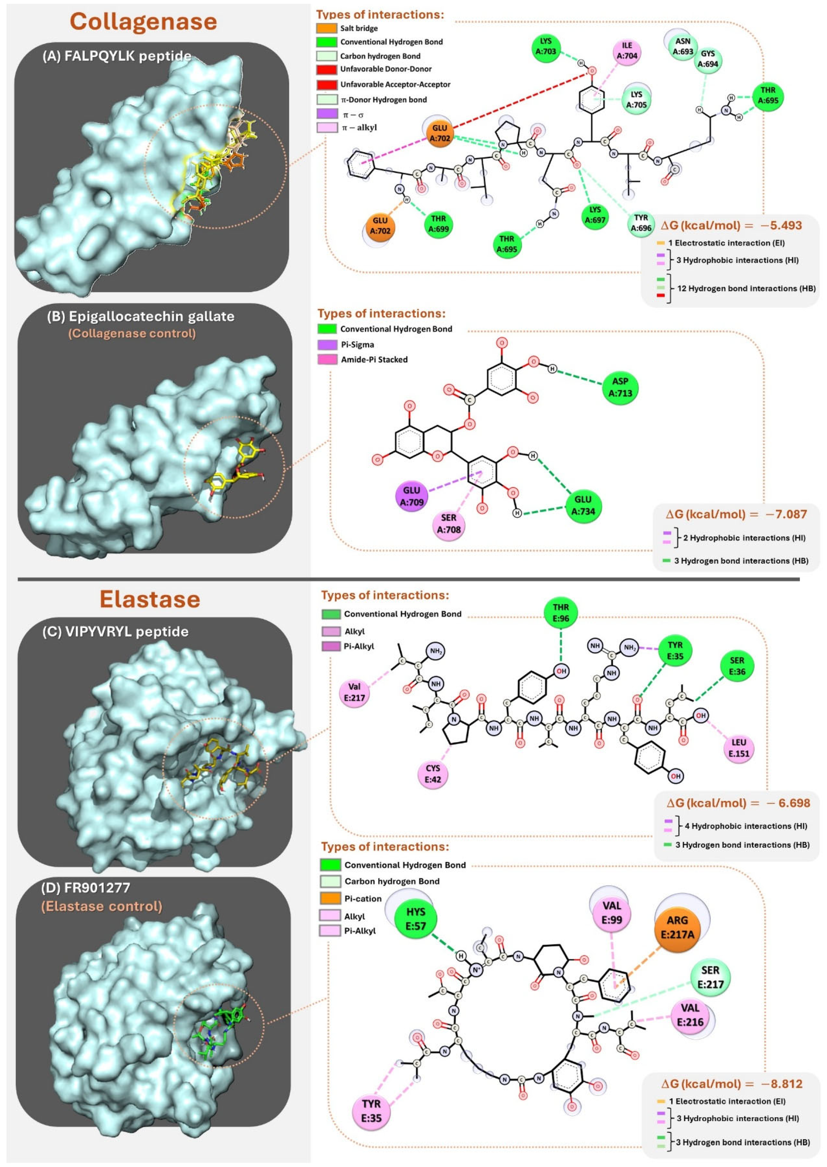 Cosmetics 12 00189 g002
