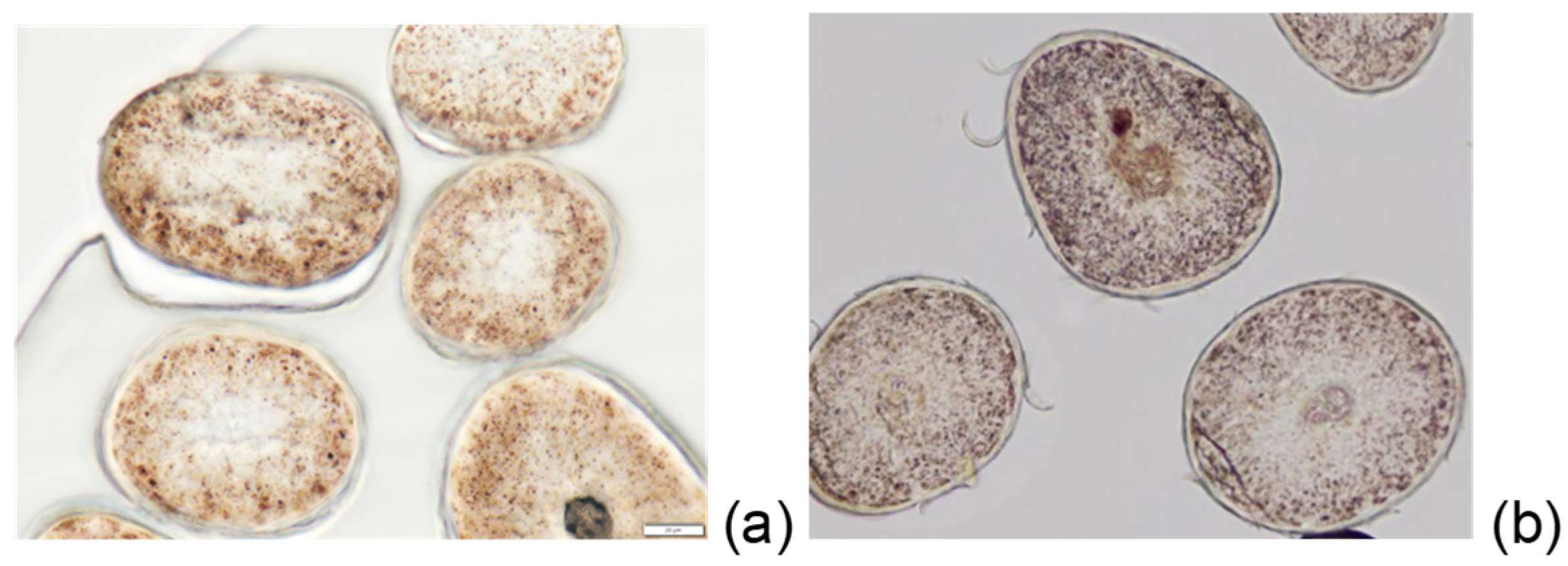 Cosmetics 12 00193 g001 Cosmetics 12 00193 g001