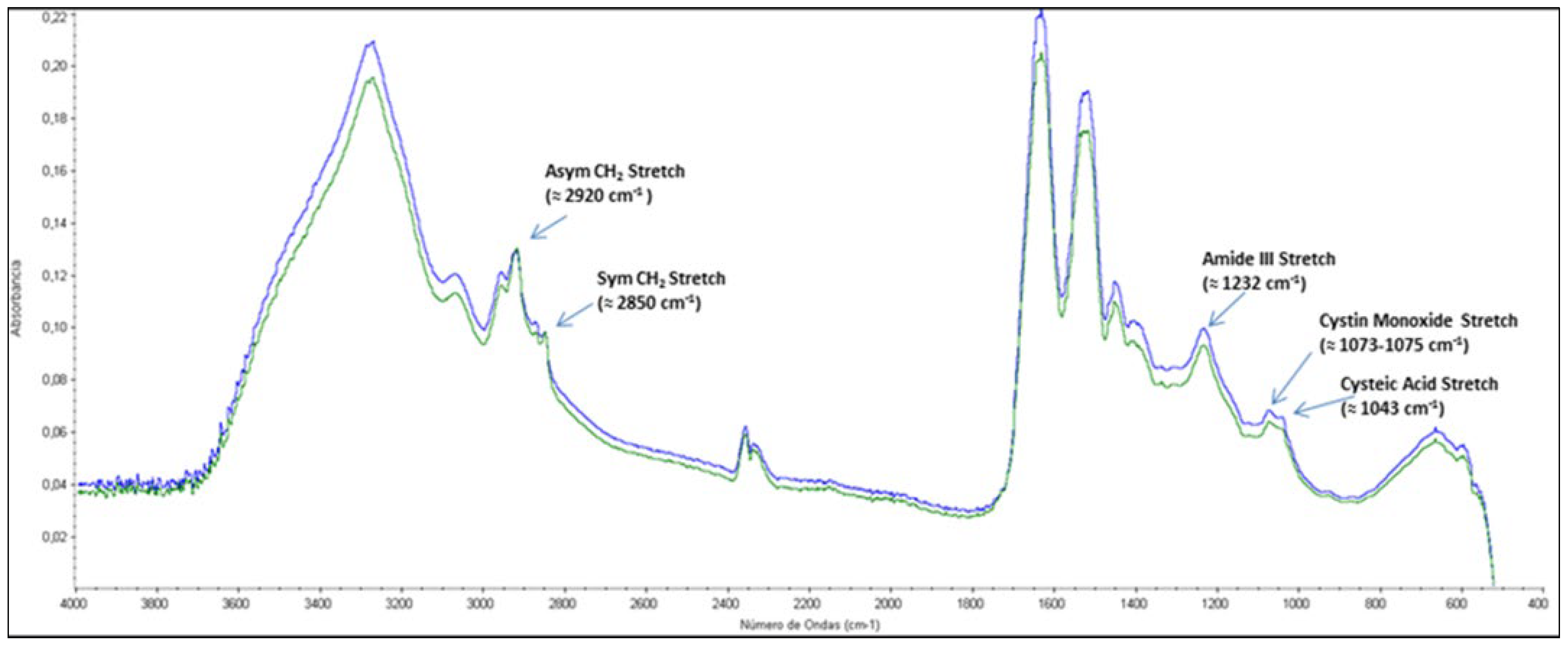 Cosmetics 12 00193 g006 Cosmetics 12 00193 g006