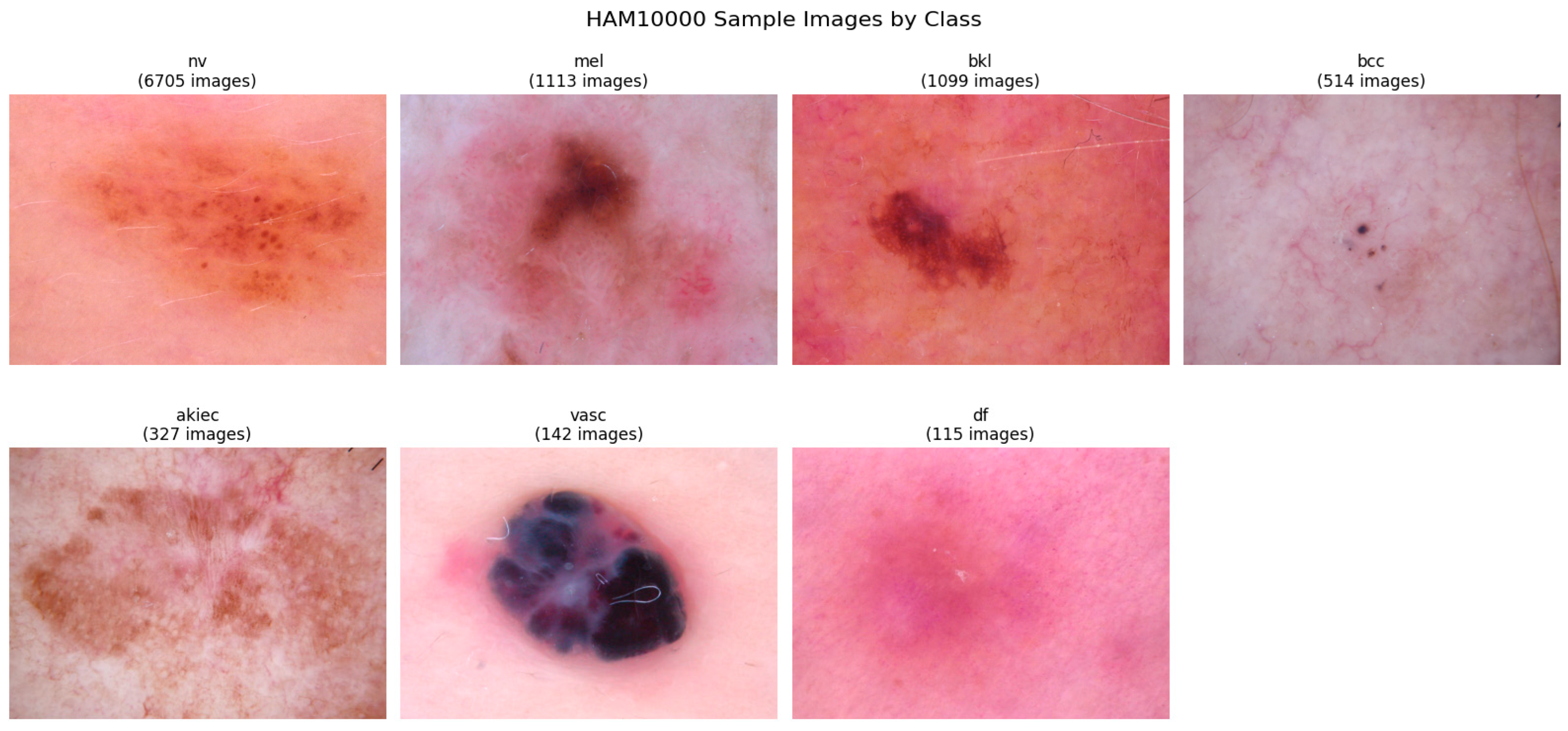 Cosmetics 12 00194 g001